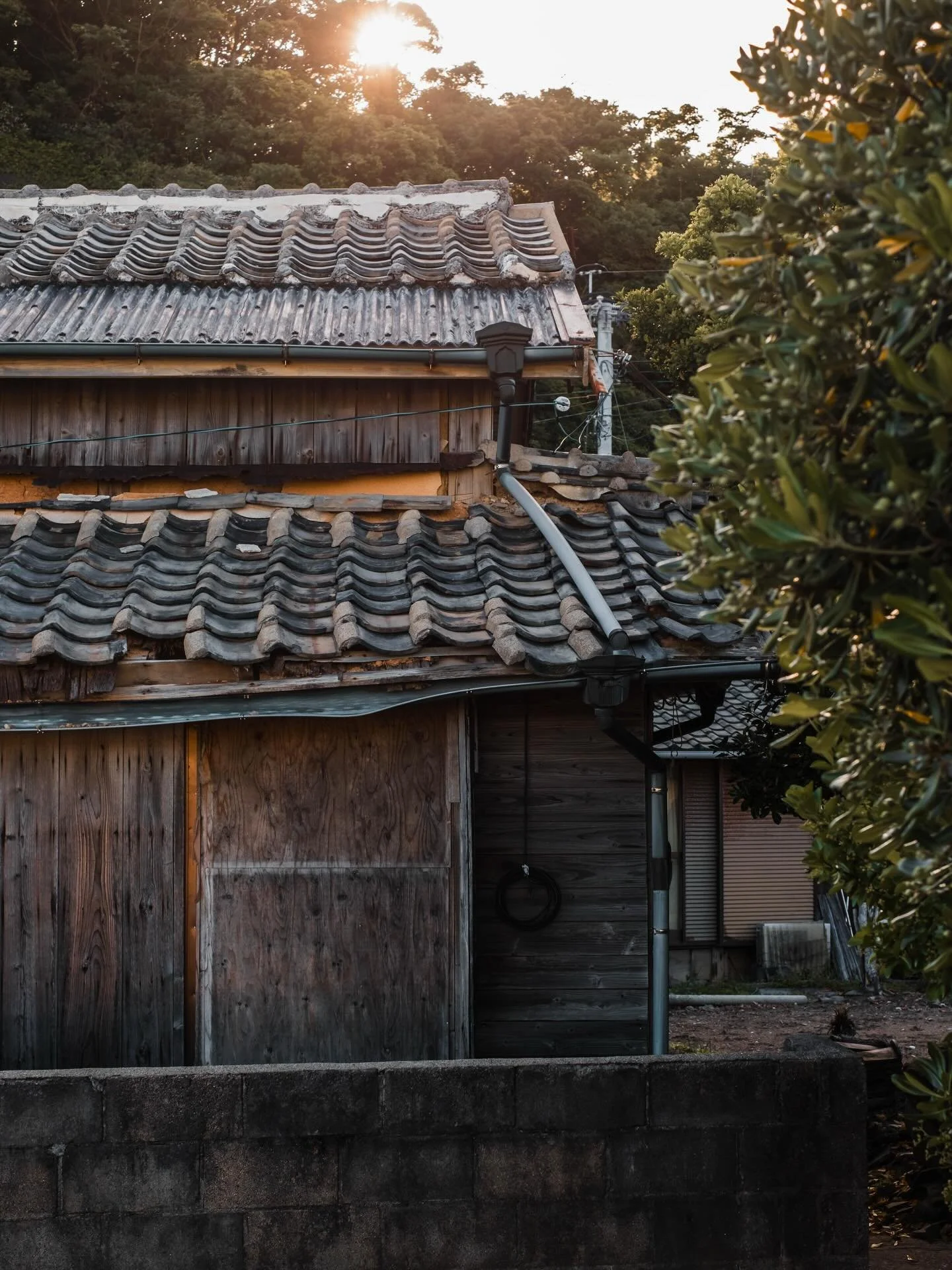 Kyushu, Japan. May 2026