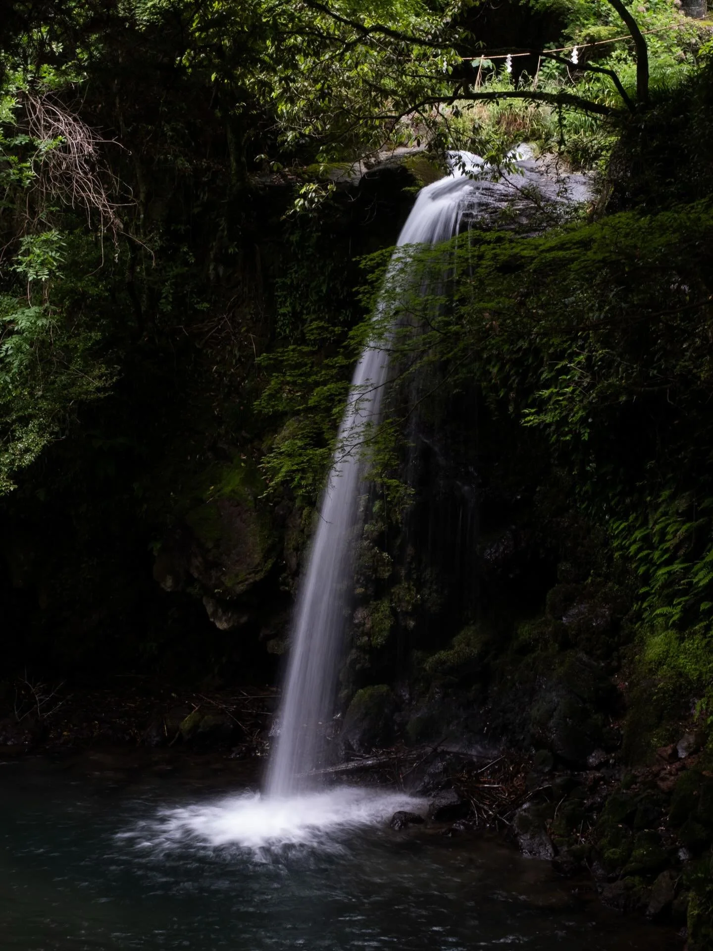 Kyushu, Japan. May 2026