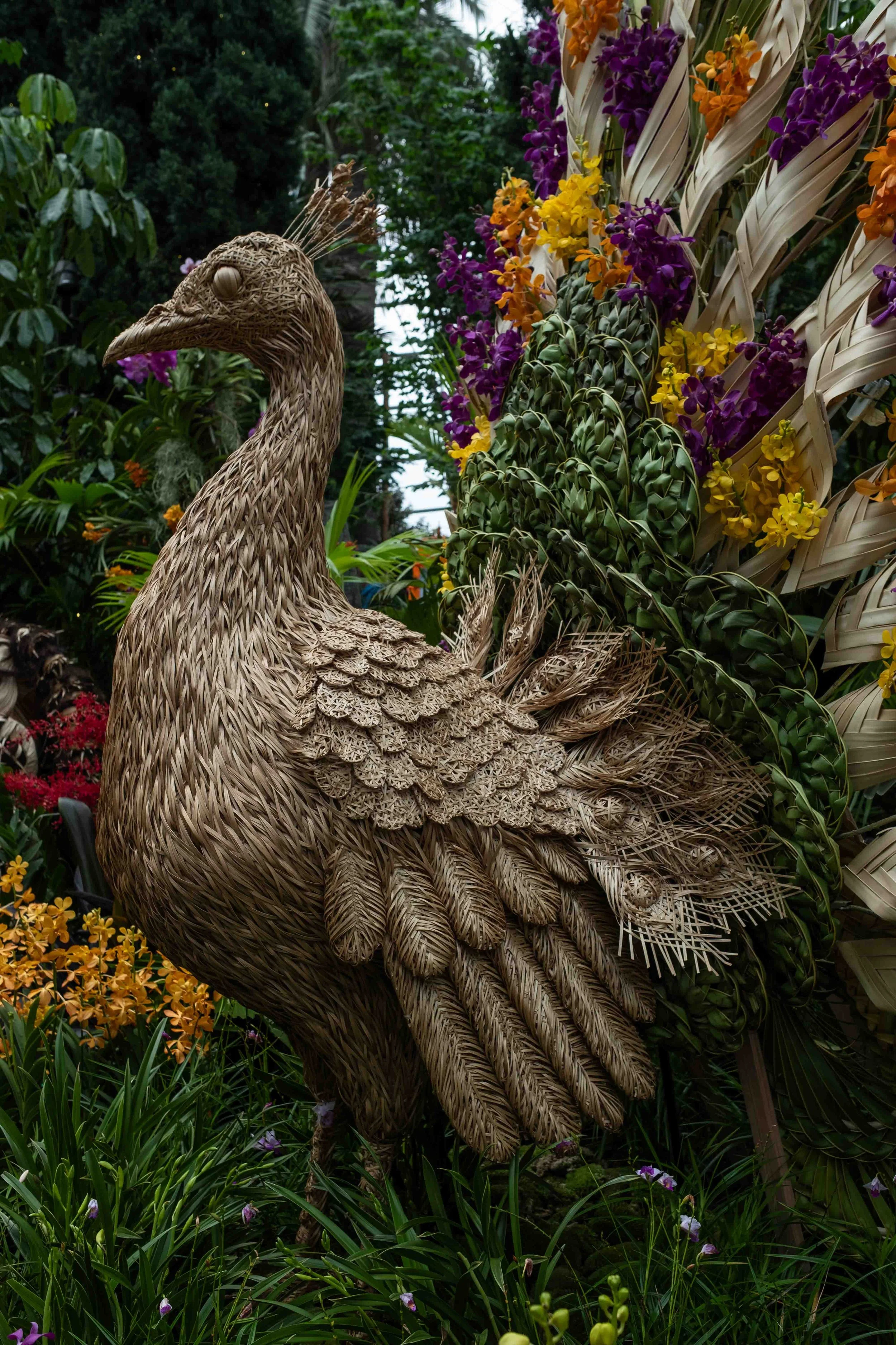 FUJI6957.jpg