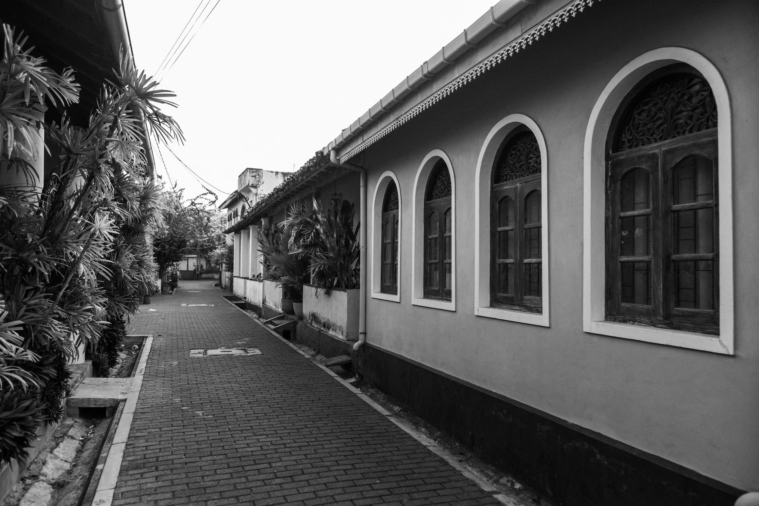 DSCF9958.jpg