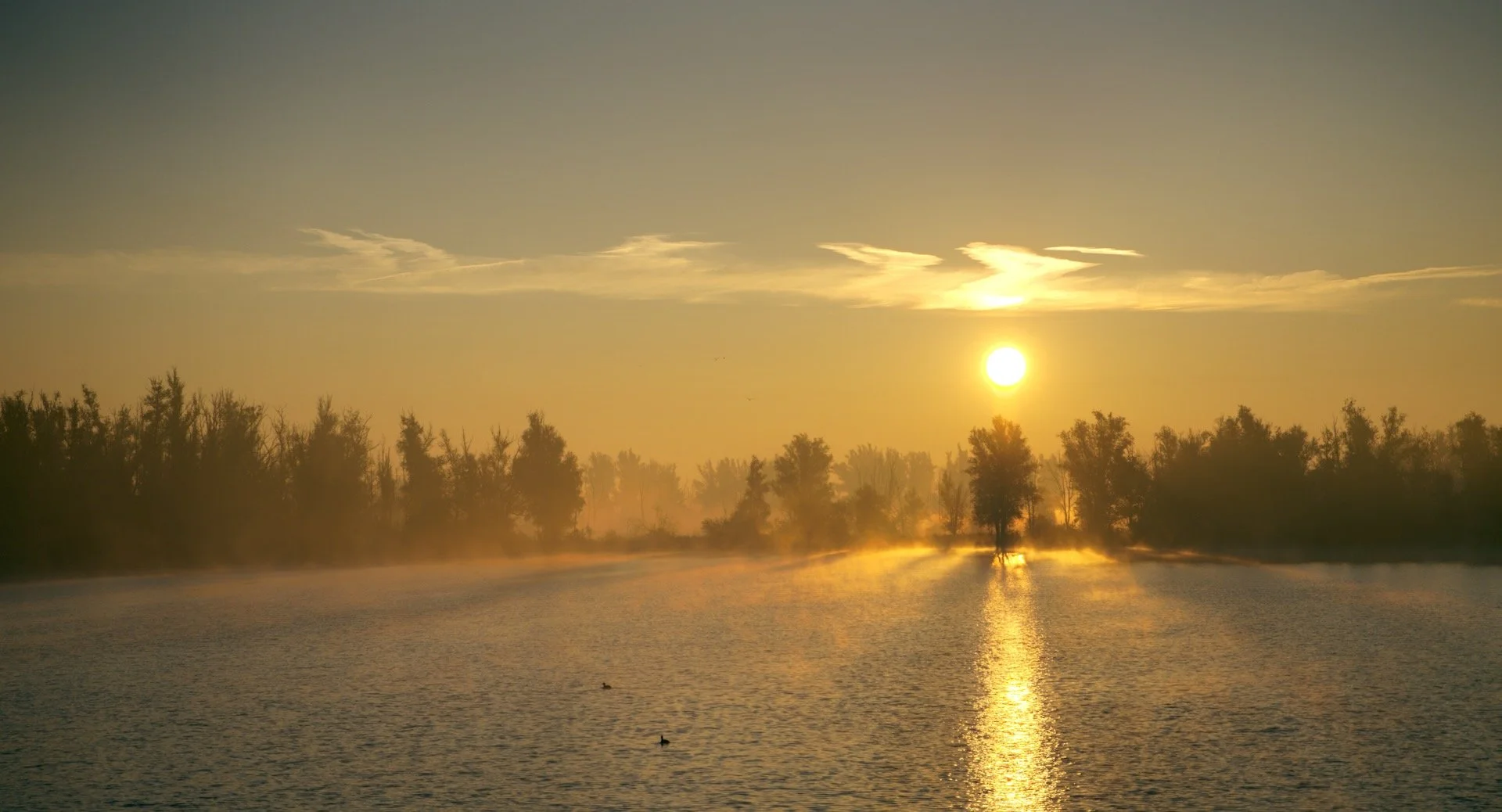 zonsopkomst met mist.jpeg