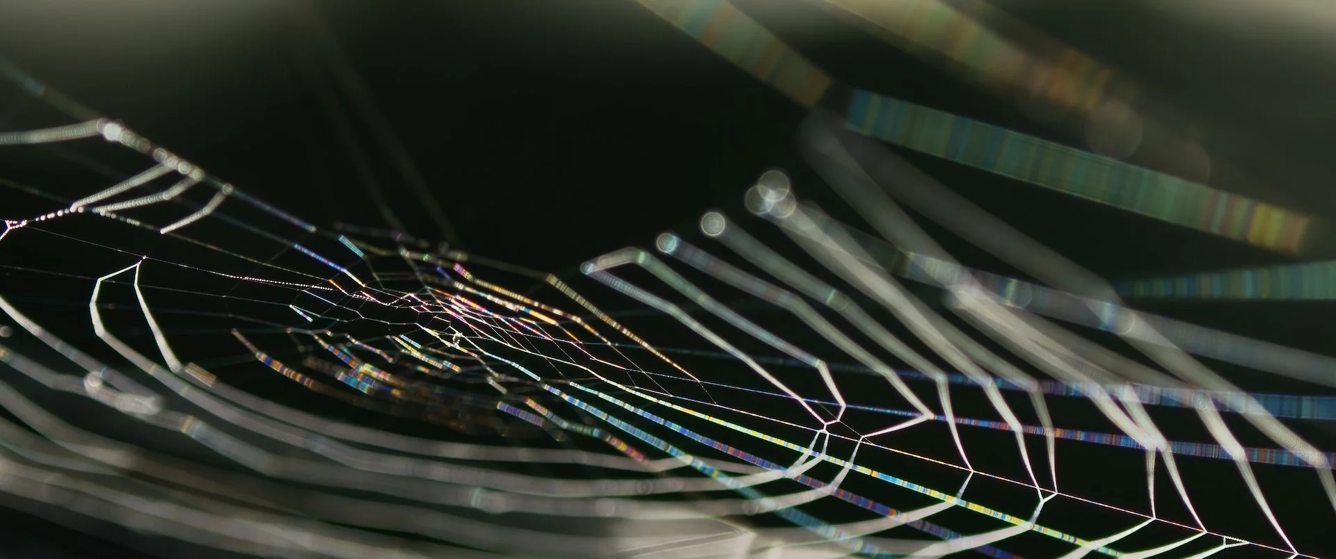 kleurenwiel HEN01052.jpeg