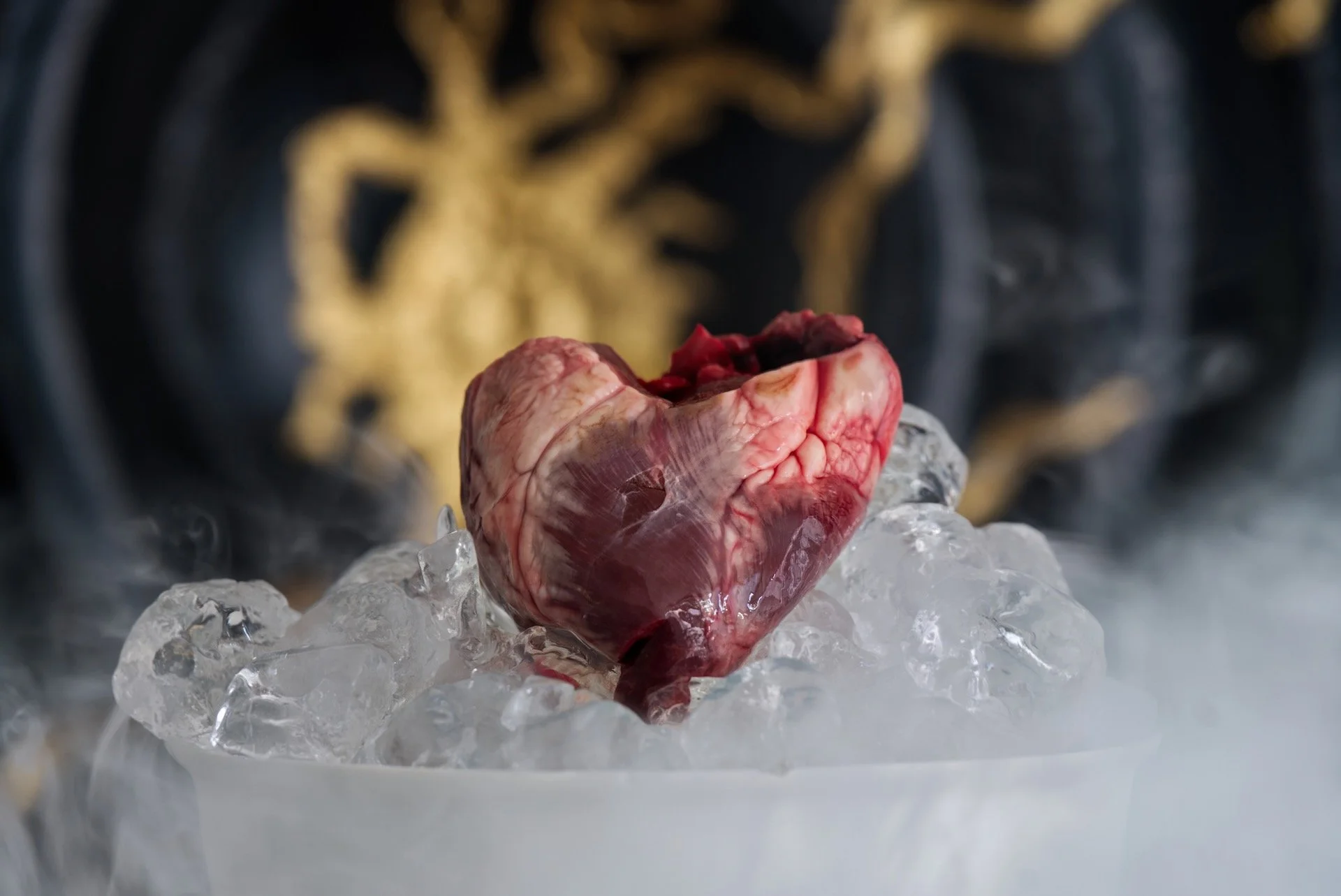 hart in de schaal 2 HEN00031.jpeg