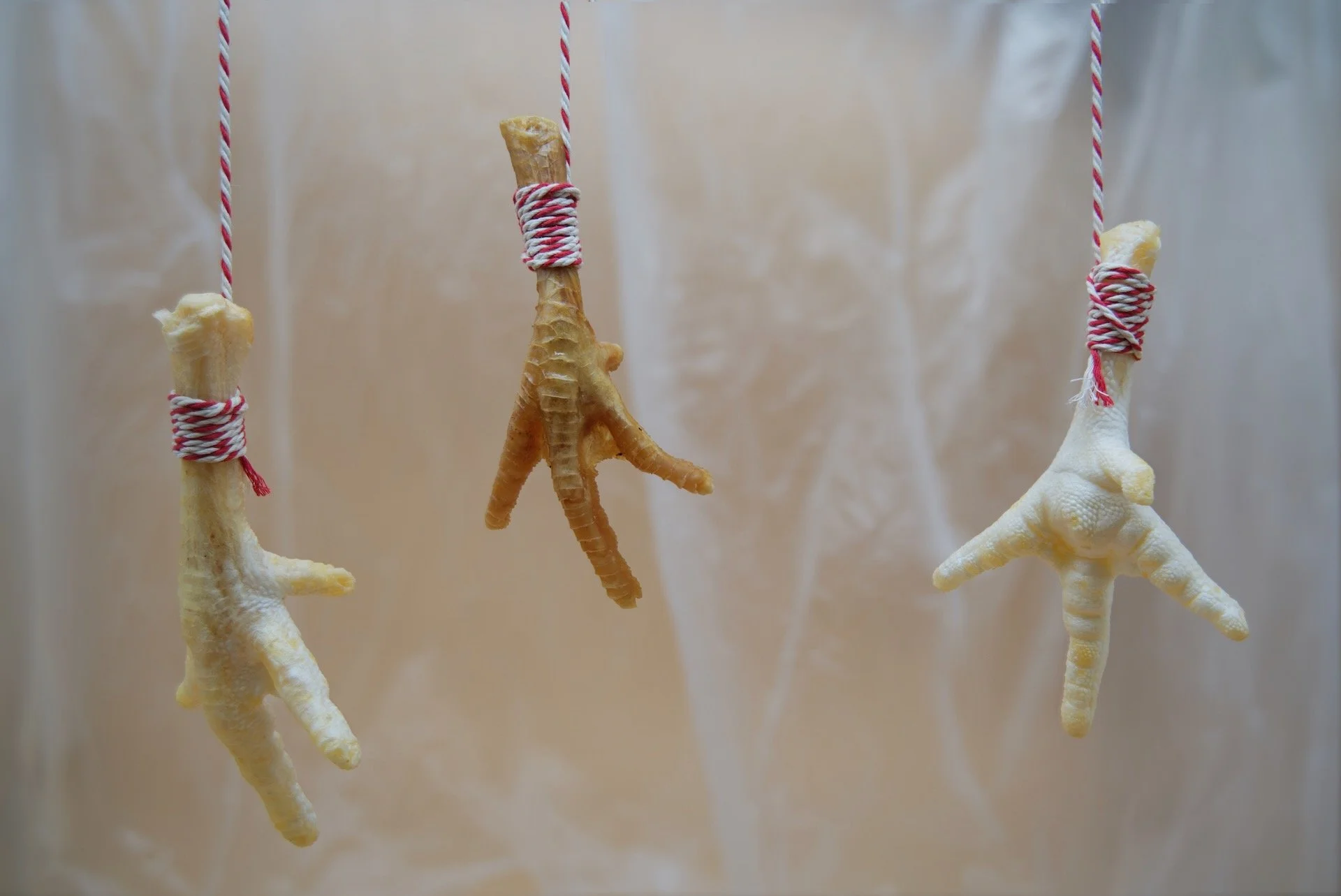 3 kippenklauwen.jpeg