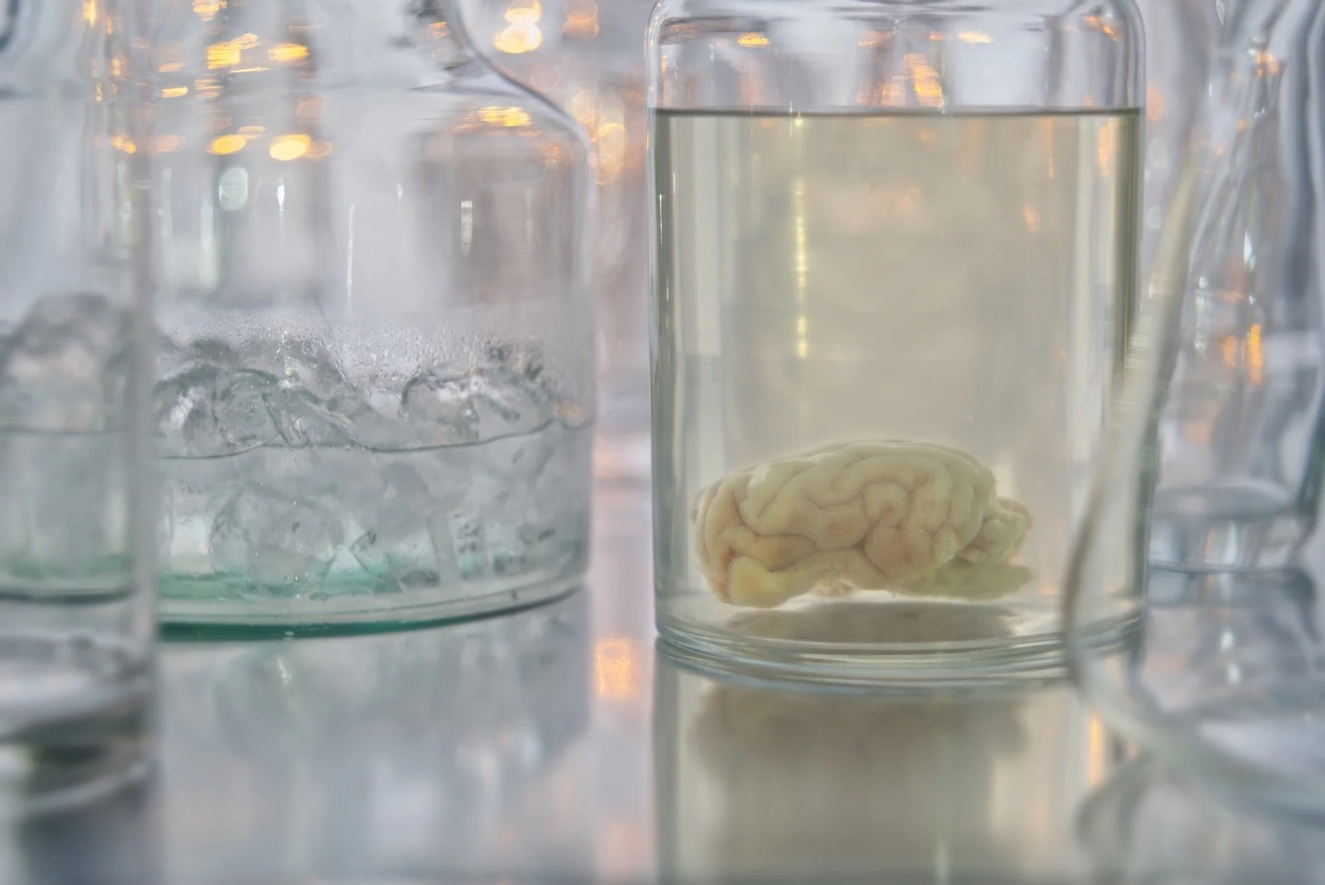 brein 1 HEN00073.jpeg