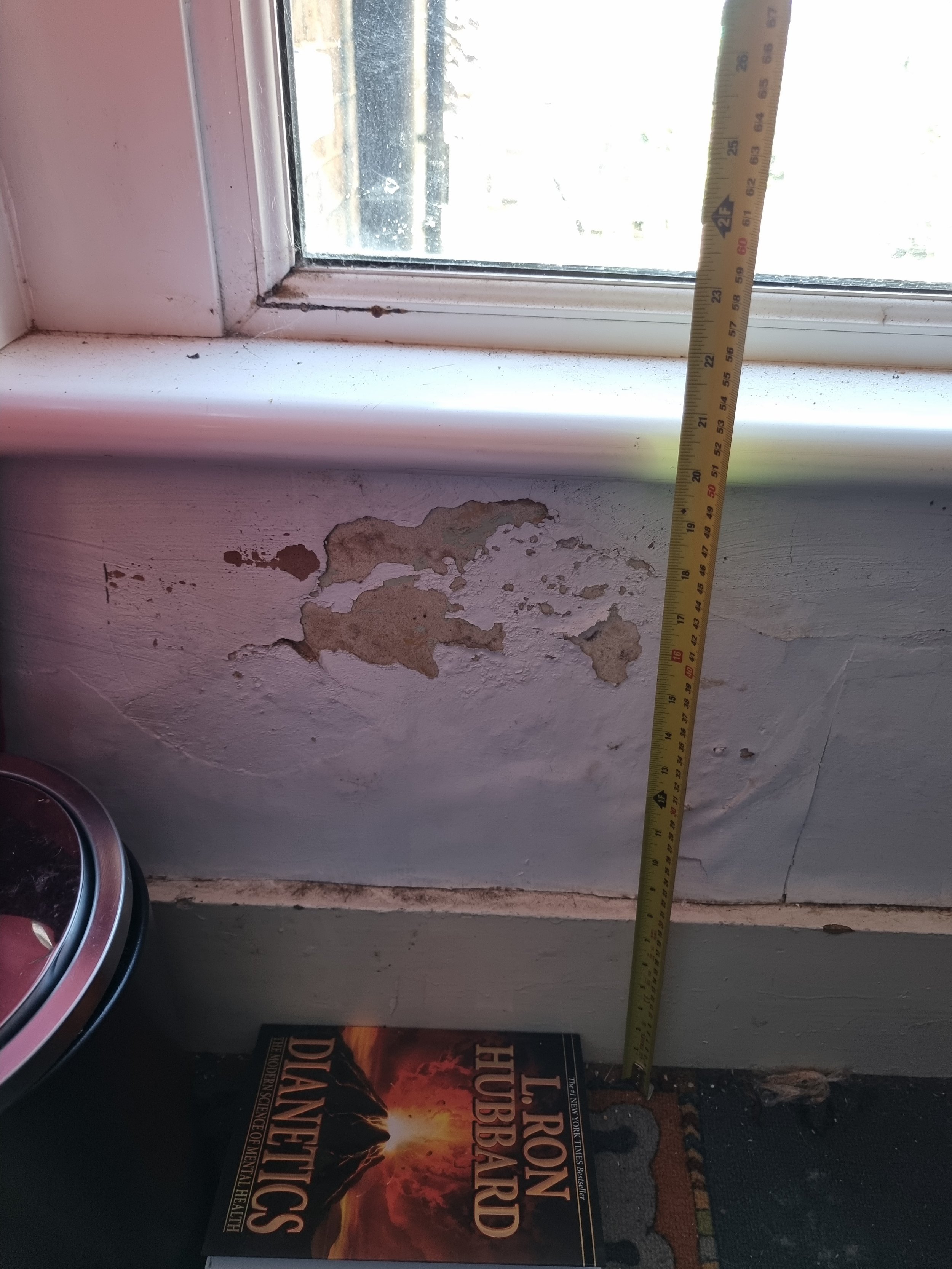 blown plaster dampness