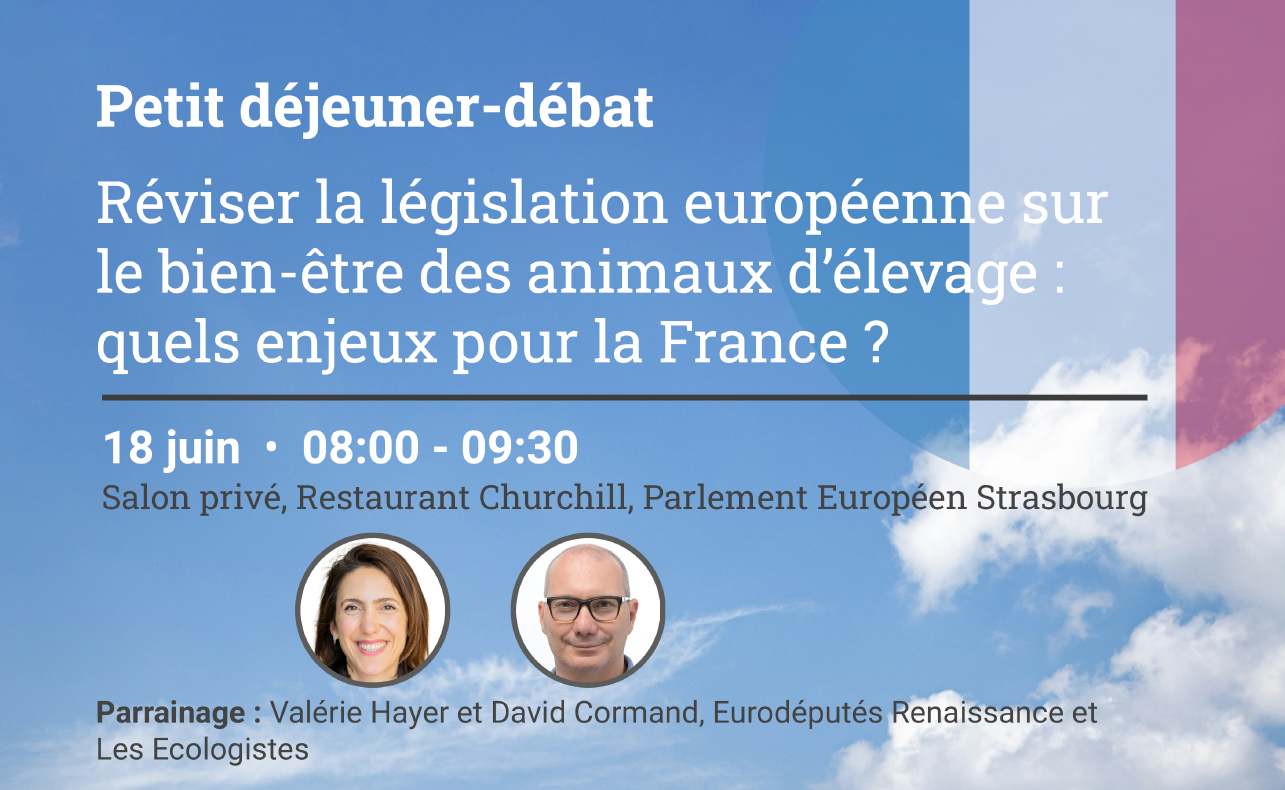 Bien-être des animaux d’élevage : David Cormand s’engage au Parlement européen