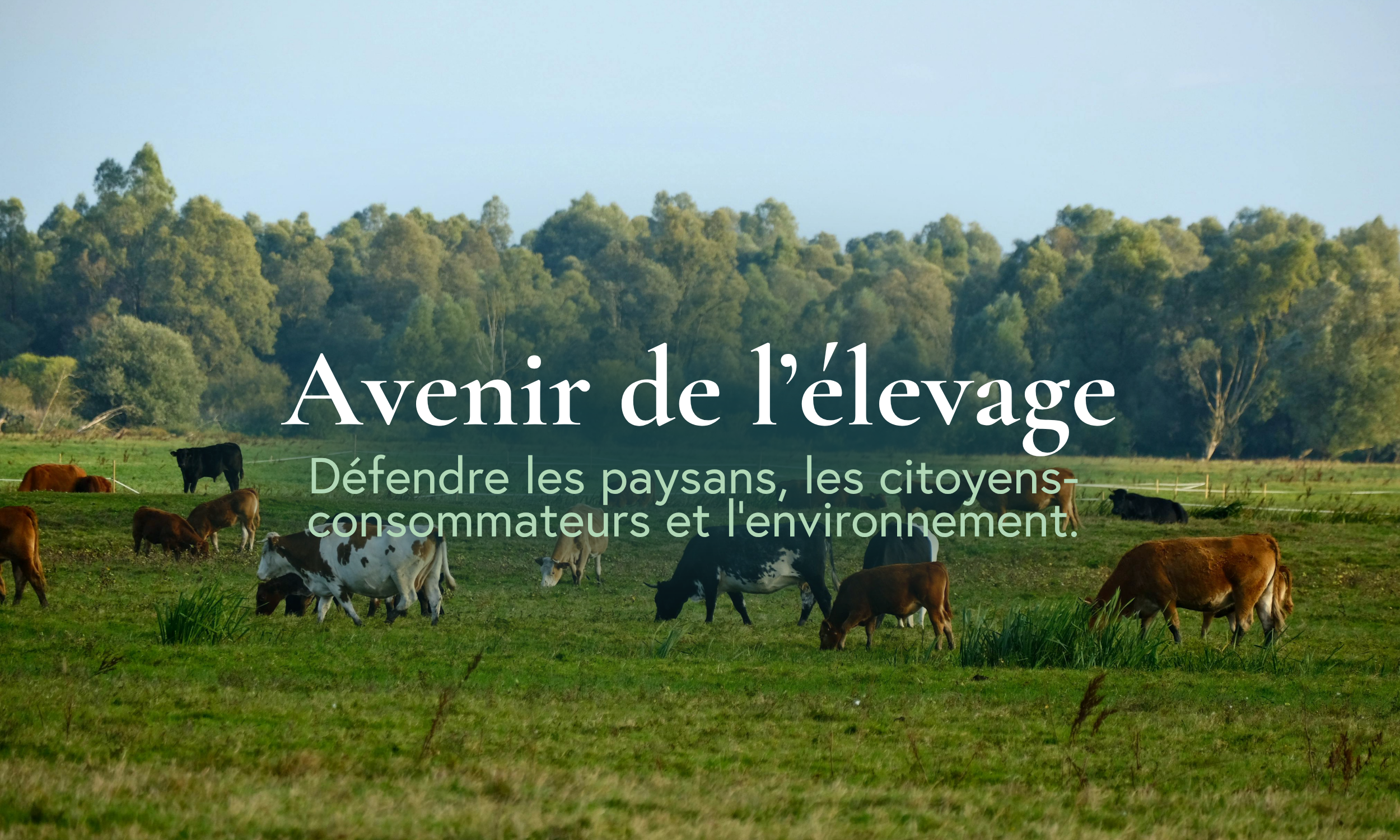 Proposition écologiste pour l’avenir de l’élevage