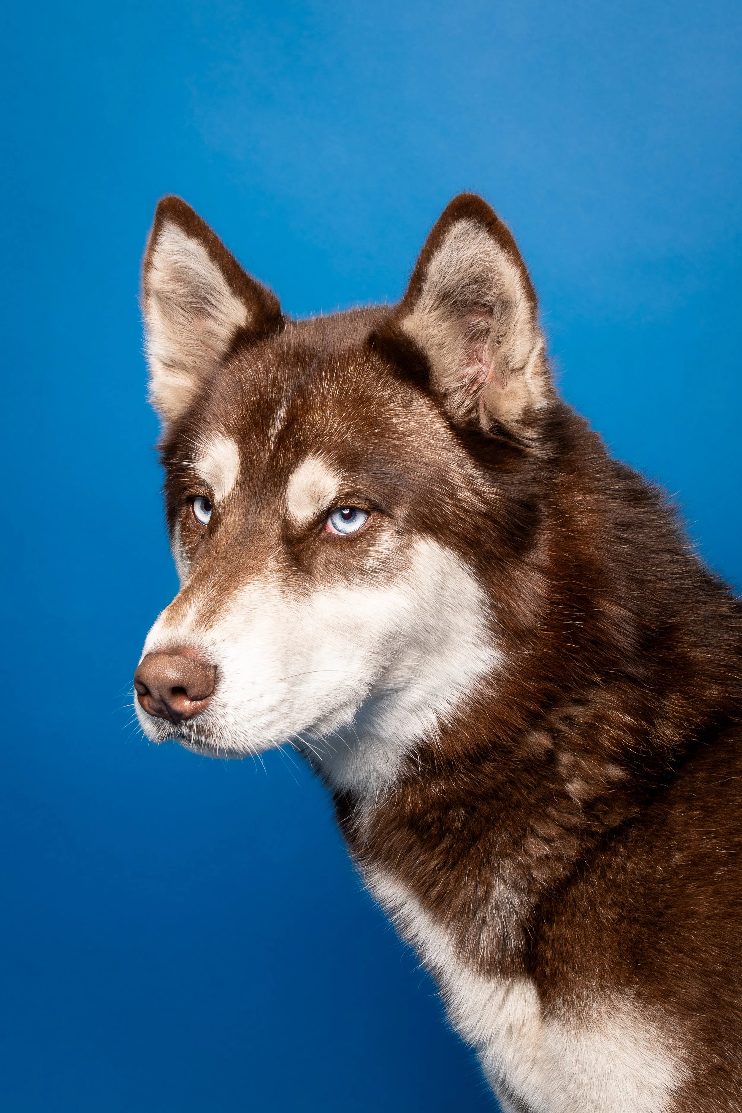 A7404988.JPG