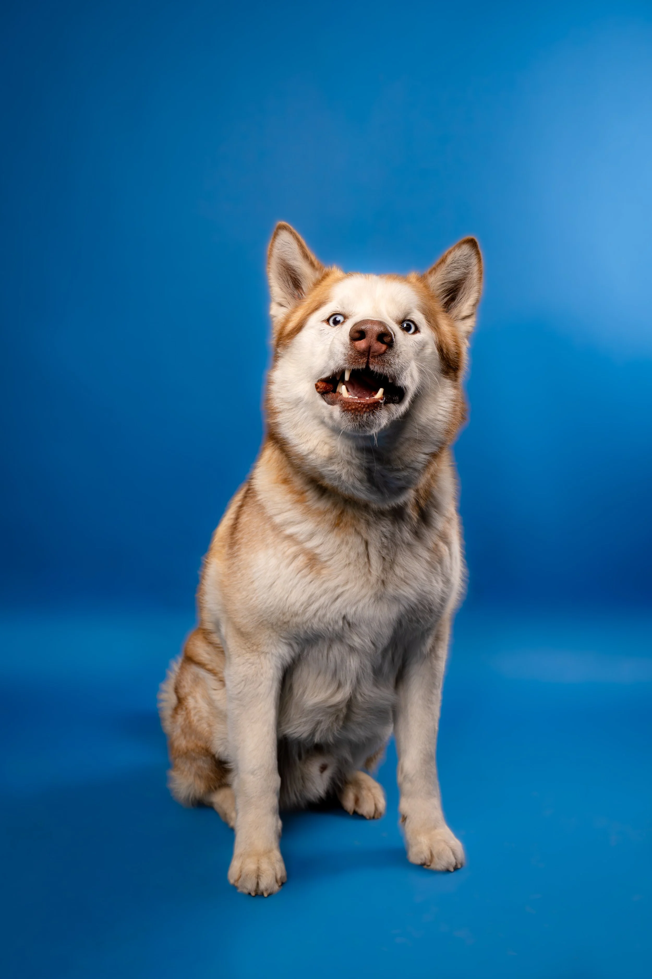 A7403984-Edit.JPG