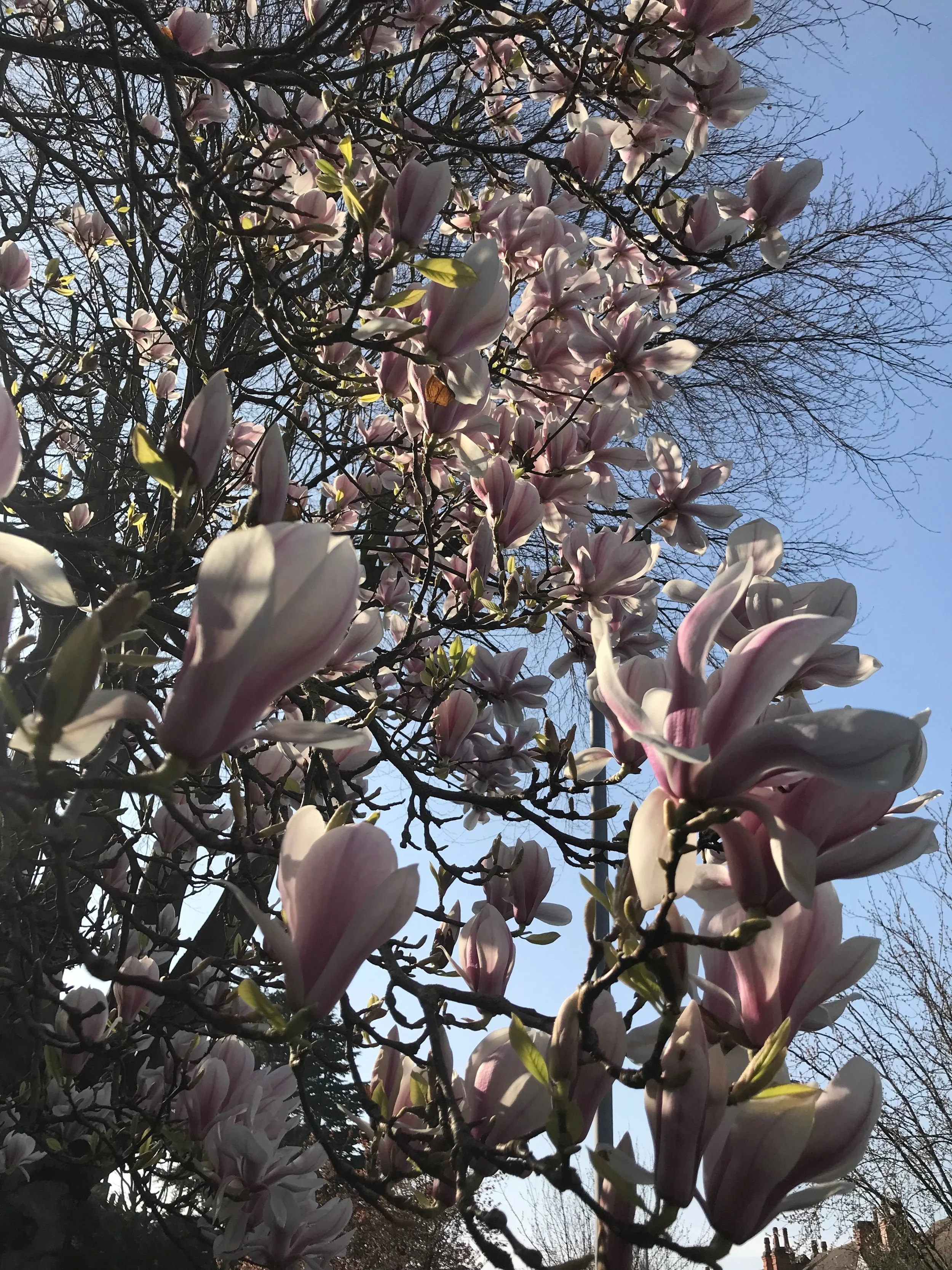 The power of creative flow