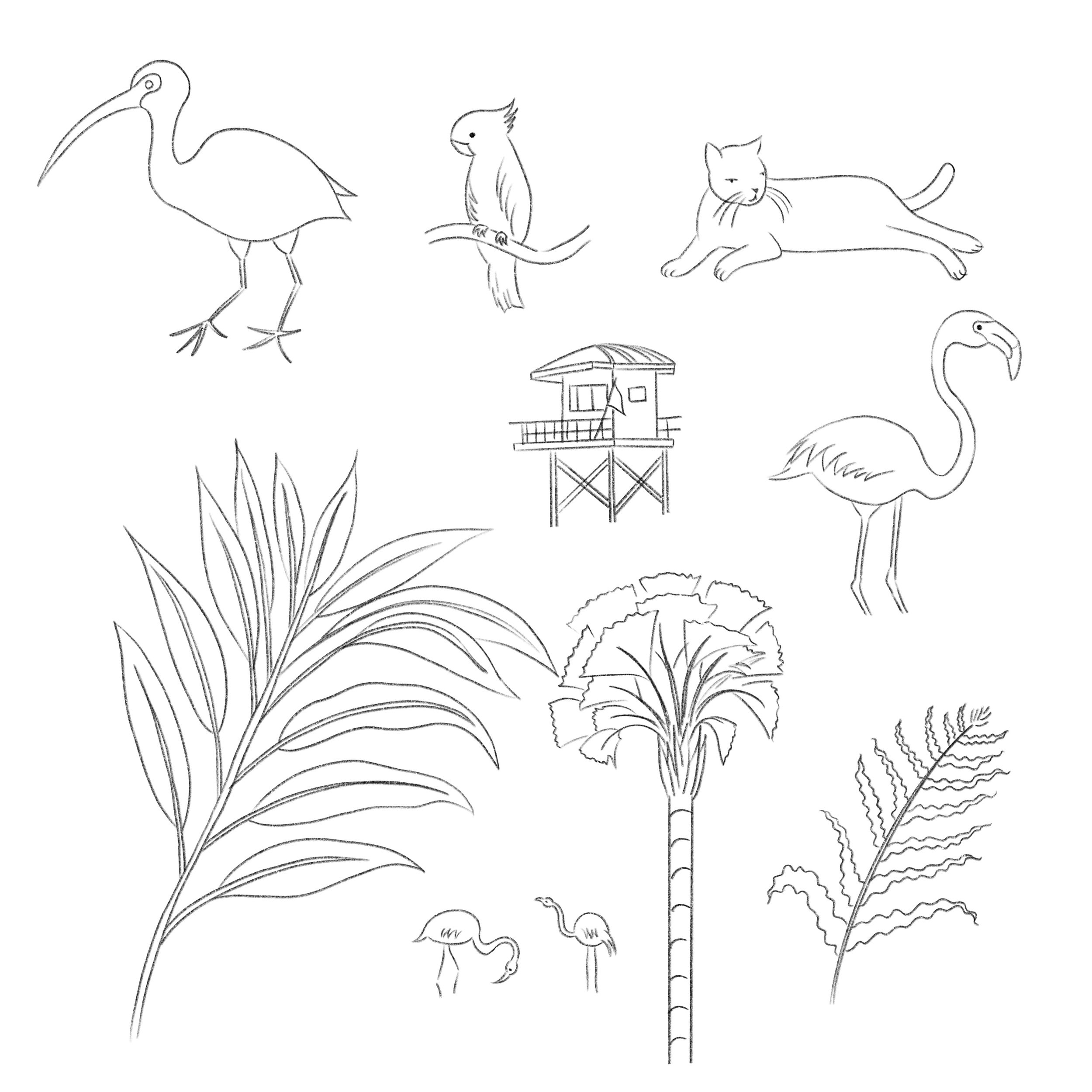 Verónica Fuentes | Illustrator