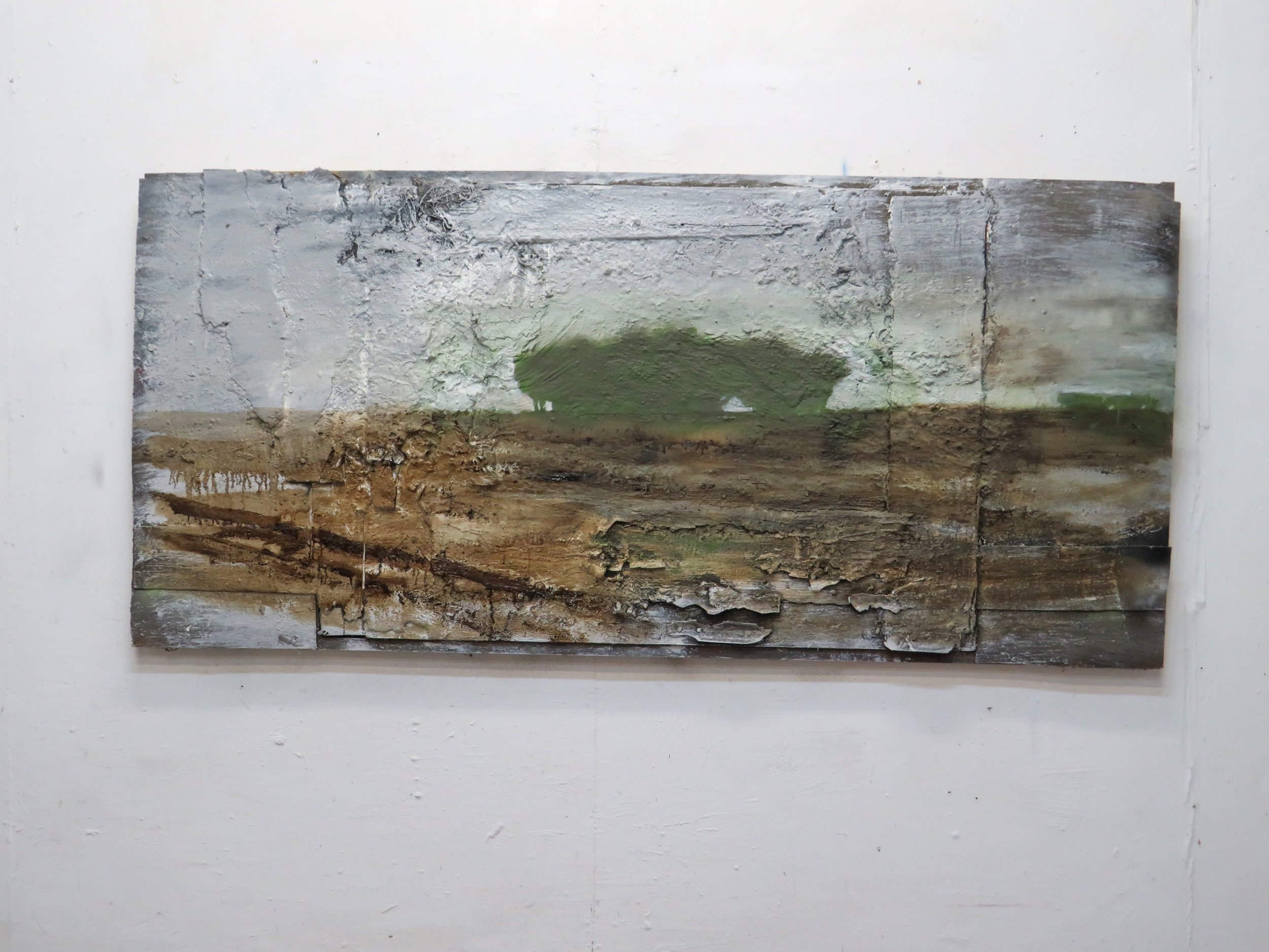 Cleared Land and remaining Copse 98 x 210 cms