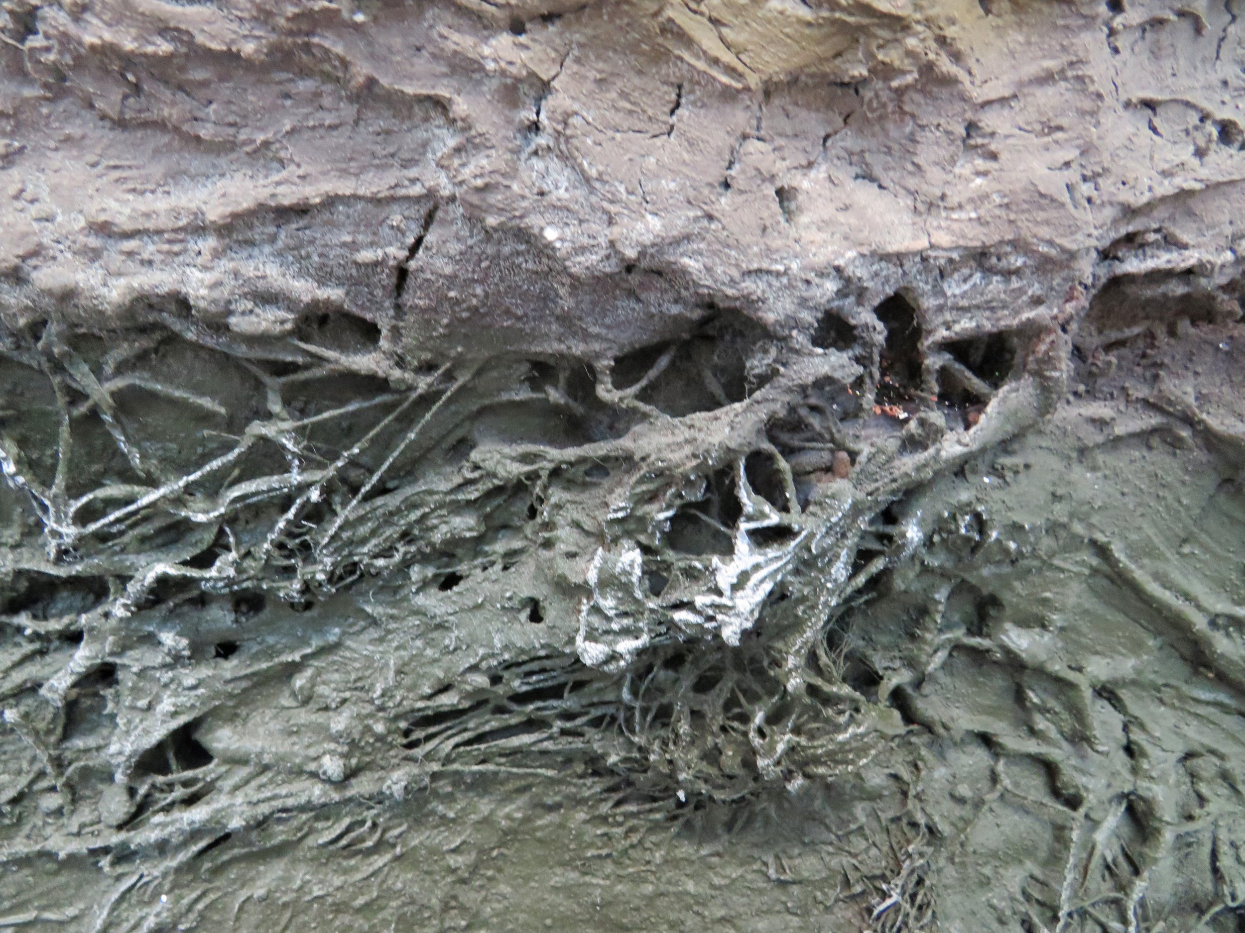 Detail of piles of top soil