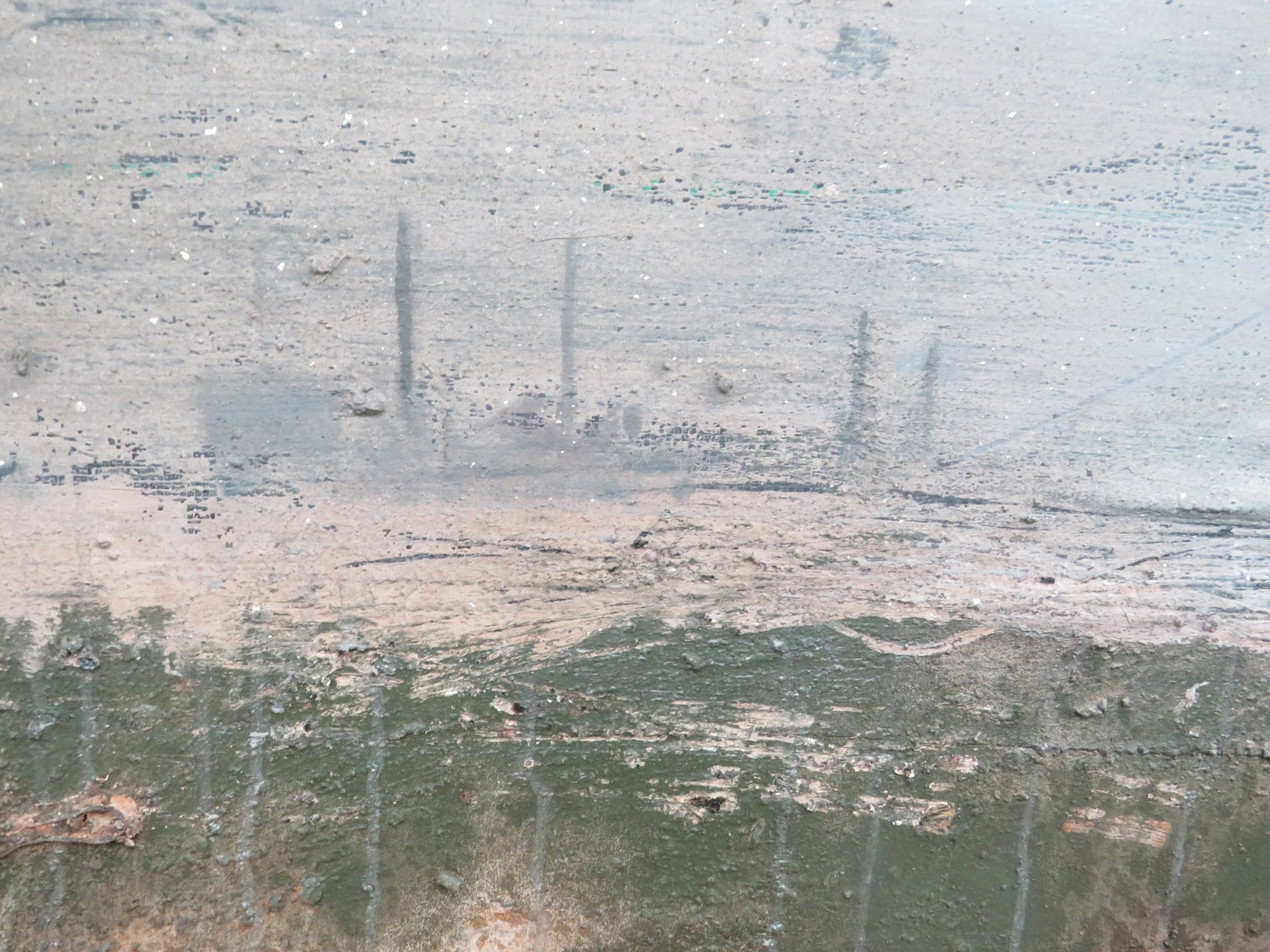 detail of waste land, hedge and phantom image of power station 124 x 244 cms
