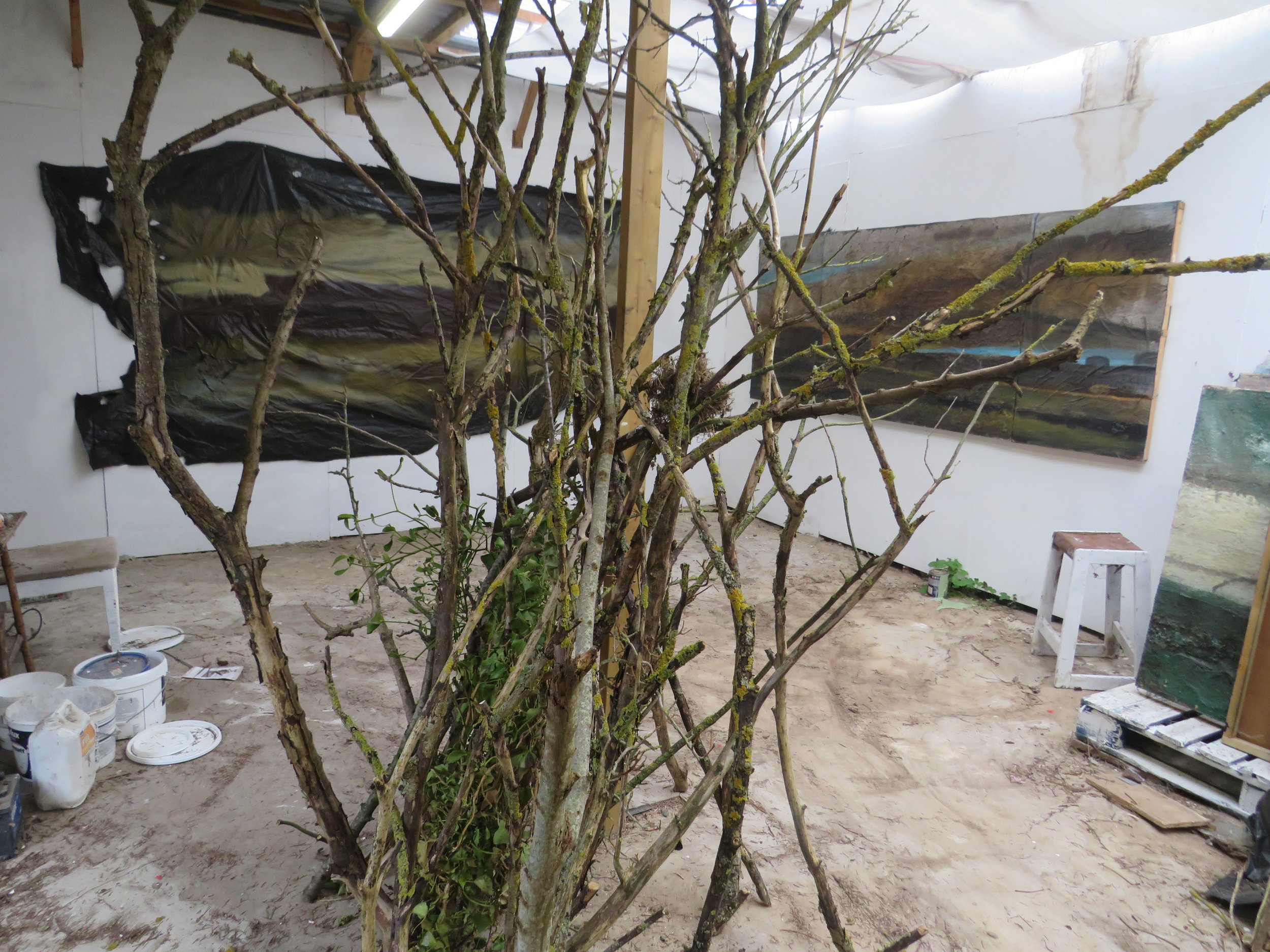 Bulldozed tree and nest reformed in the Studio