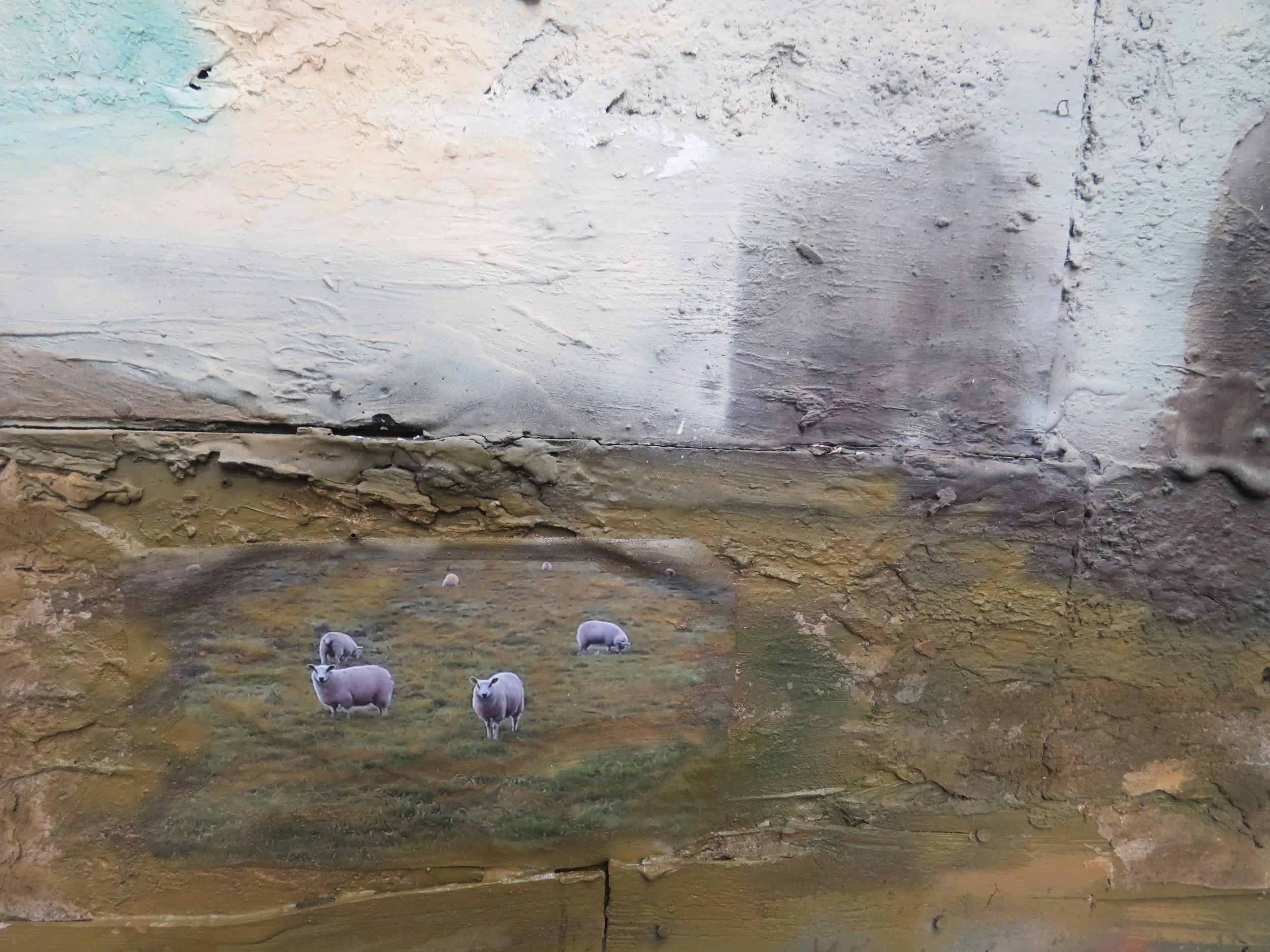 Detail of memory of ruin, bulldozed fields and sheep
