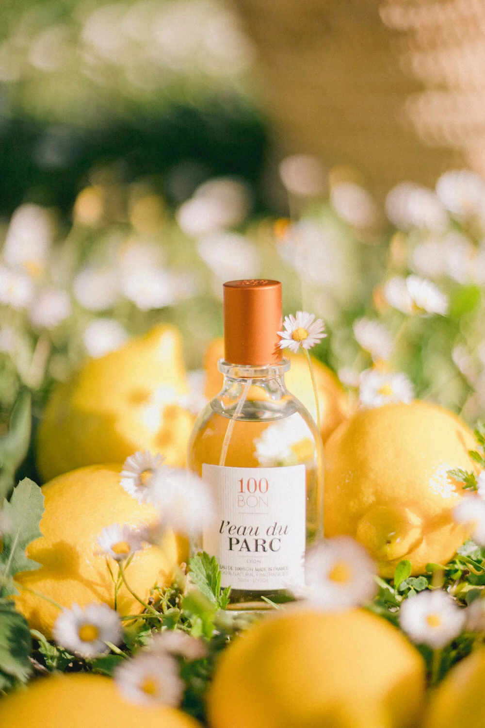  Beauty and Perfume Advertising Photographer France, Paris, Provence and the French Riviera 