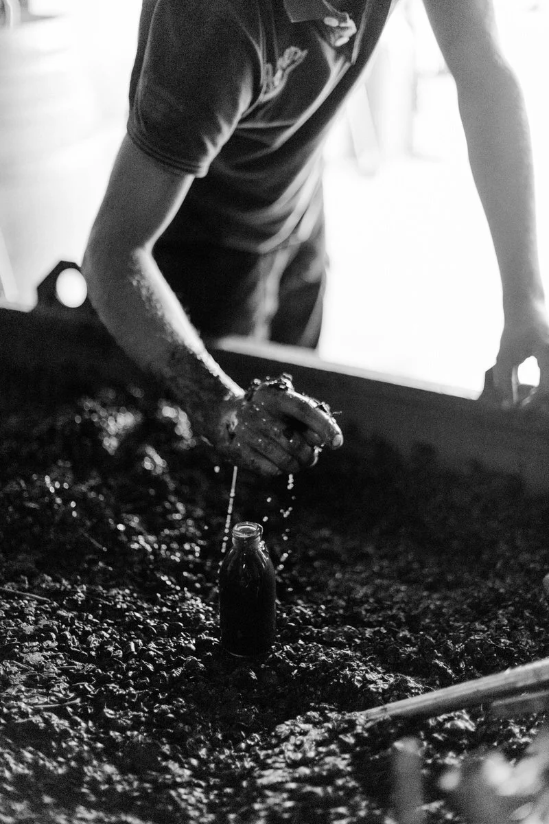  Wine Photographer in Provence, French Riviera, Var, Saint Tropez, Monaco, Languedoc-Roussillon 