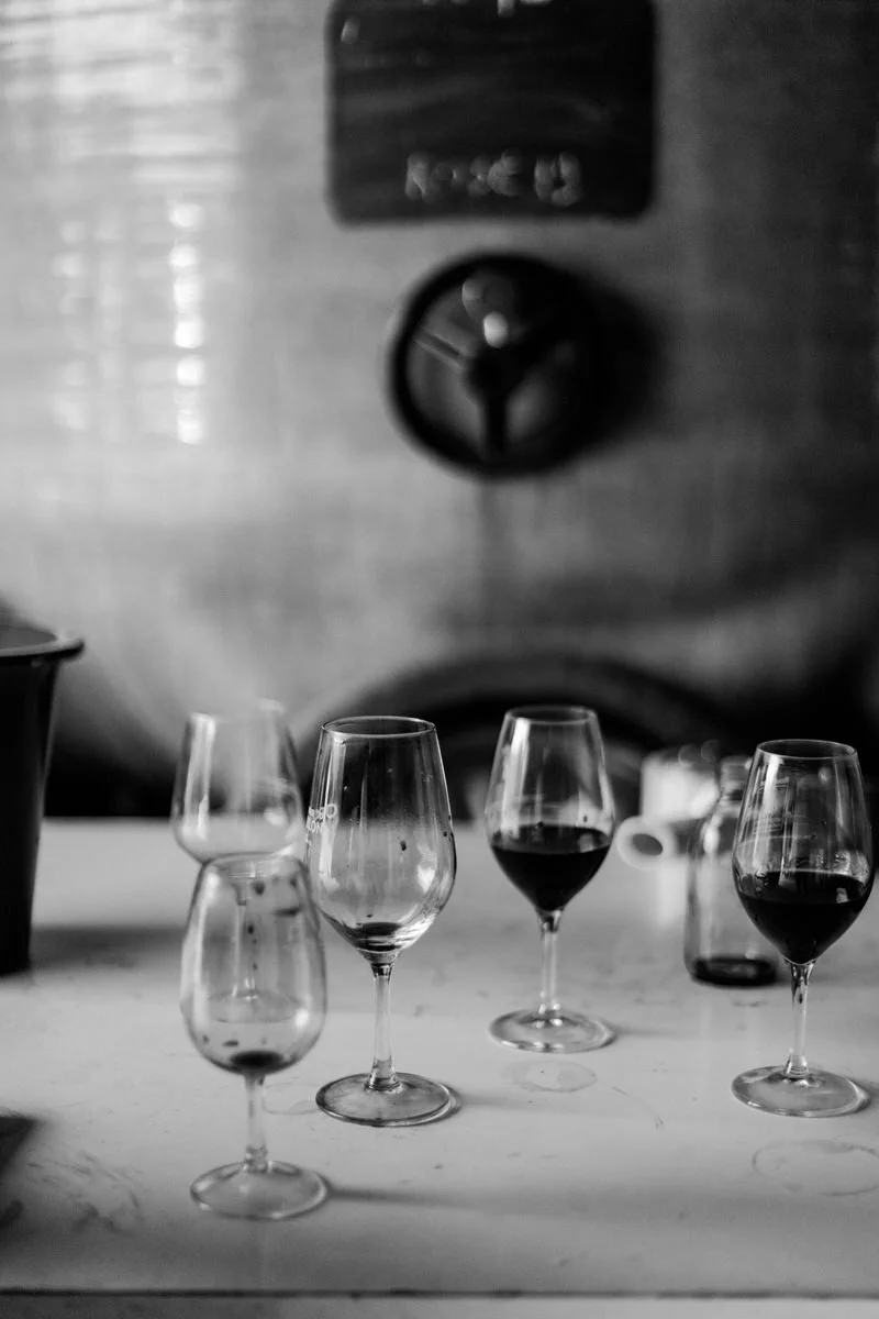  Wine Photographer in Provence, French Riviera, Var, Saint Tropez, Monaco, Languedoc-Roussillon 