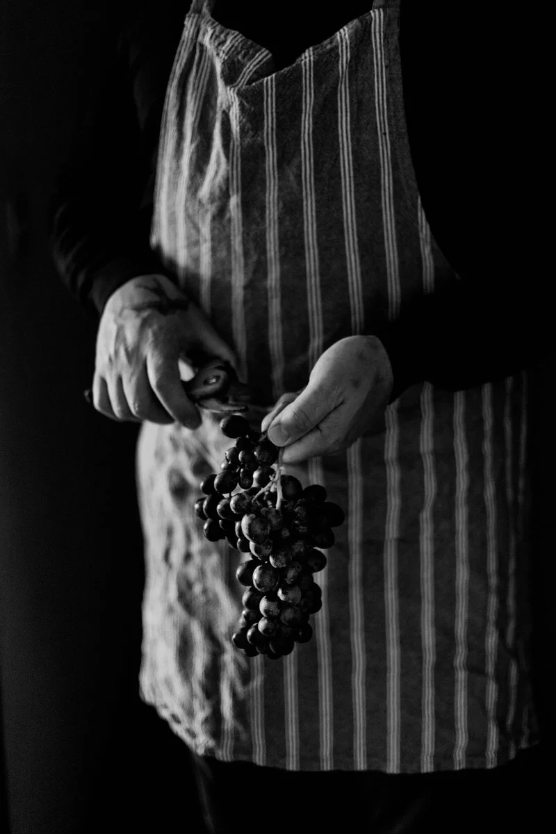  Wine Photographer in Provence, French Riviera, Var, Saint Tropez, Monaco, Languedoc-Roussillon 
