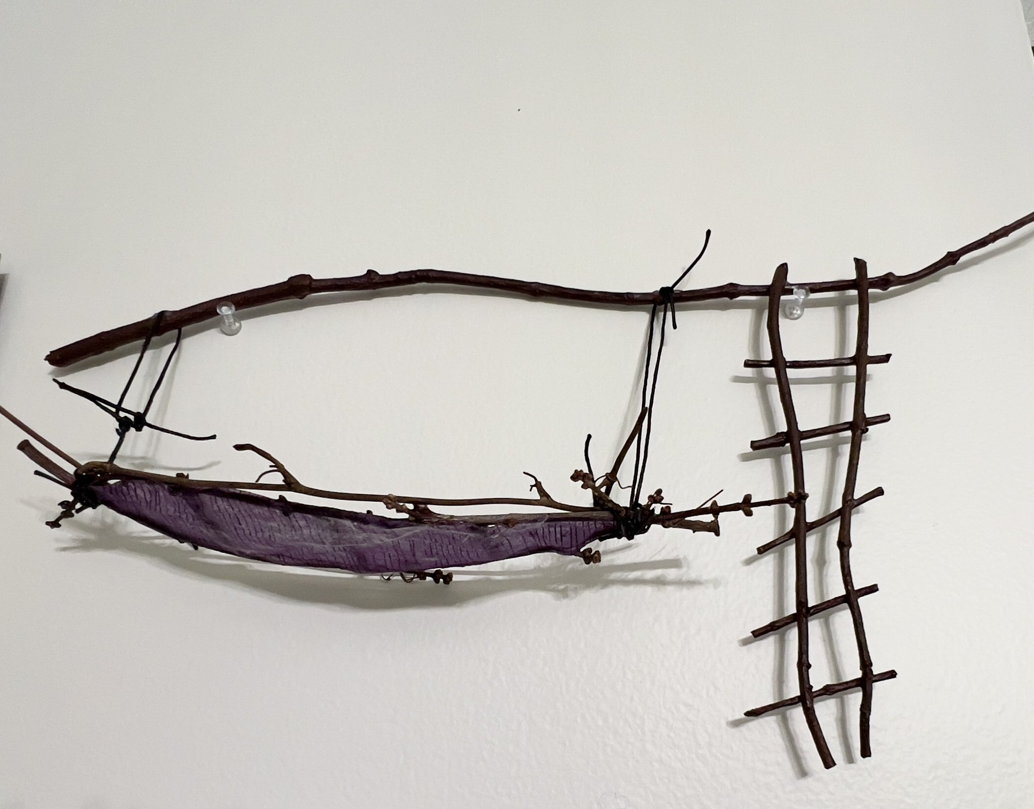 1 Canoe, hanging to dry with a ladder