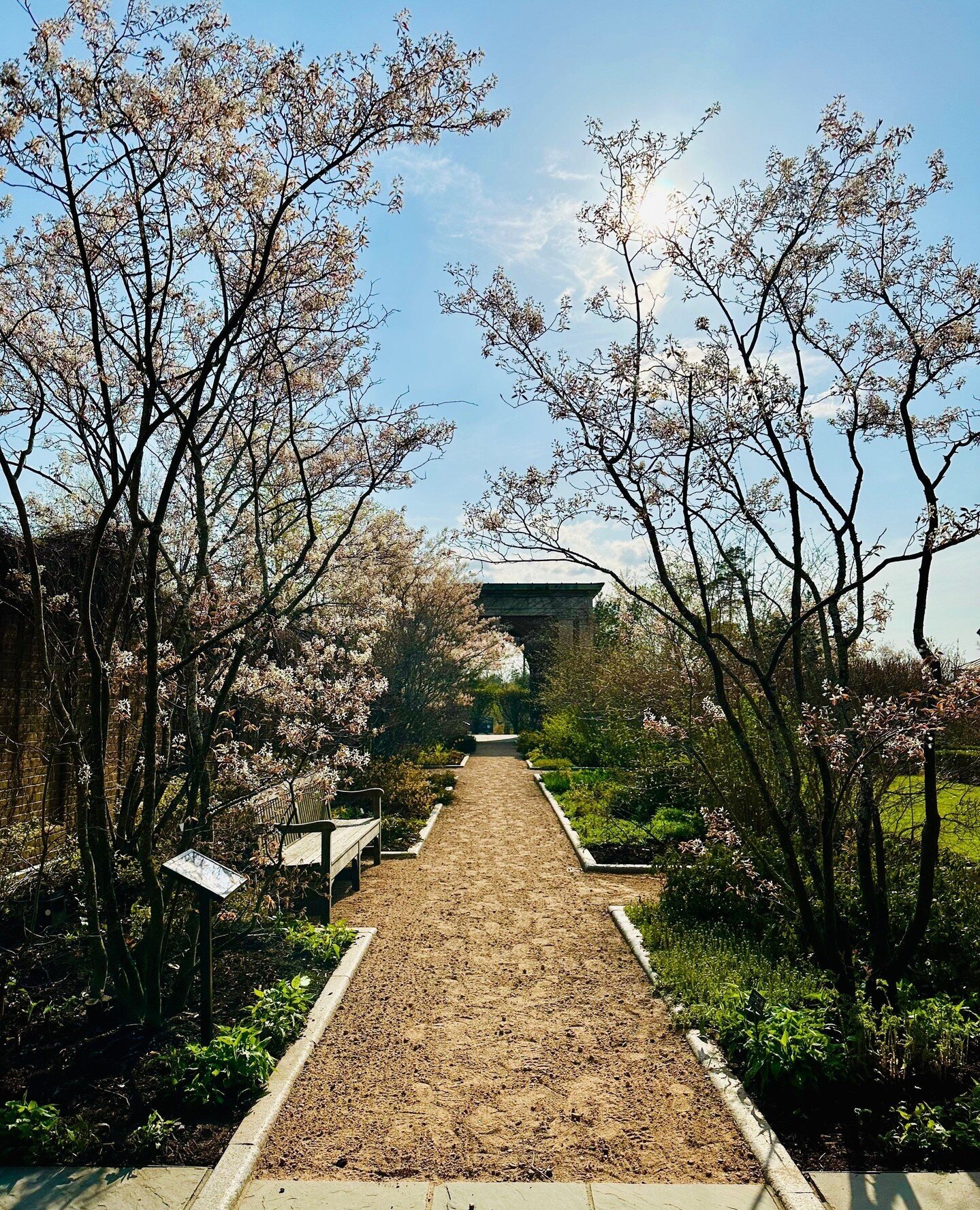 Our anticipation for snow has turned into daydreams of &quot;Early Spring&quot; and Summer 😆 ⁠
⁠
Specifically at The Harriet Irving Botanical Gardens 🌸