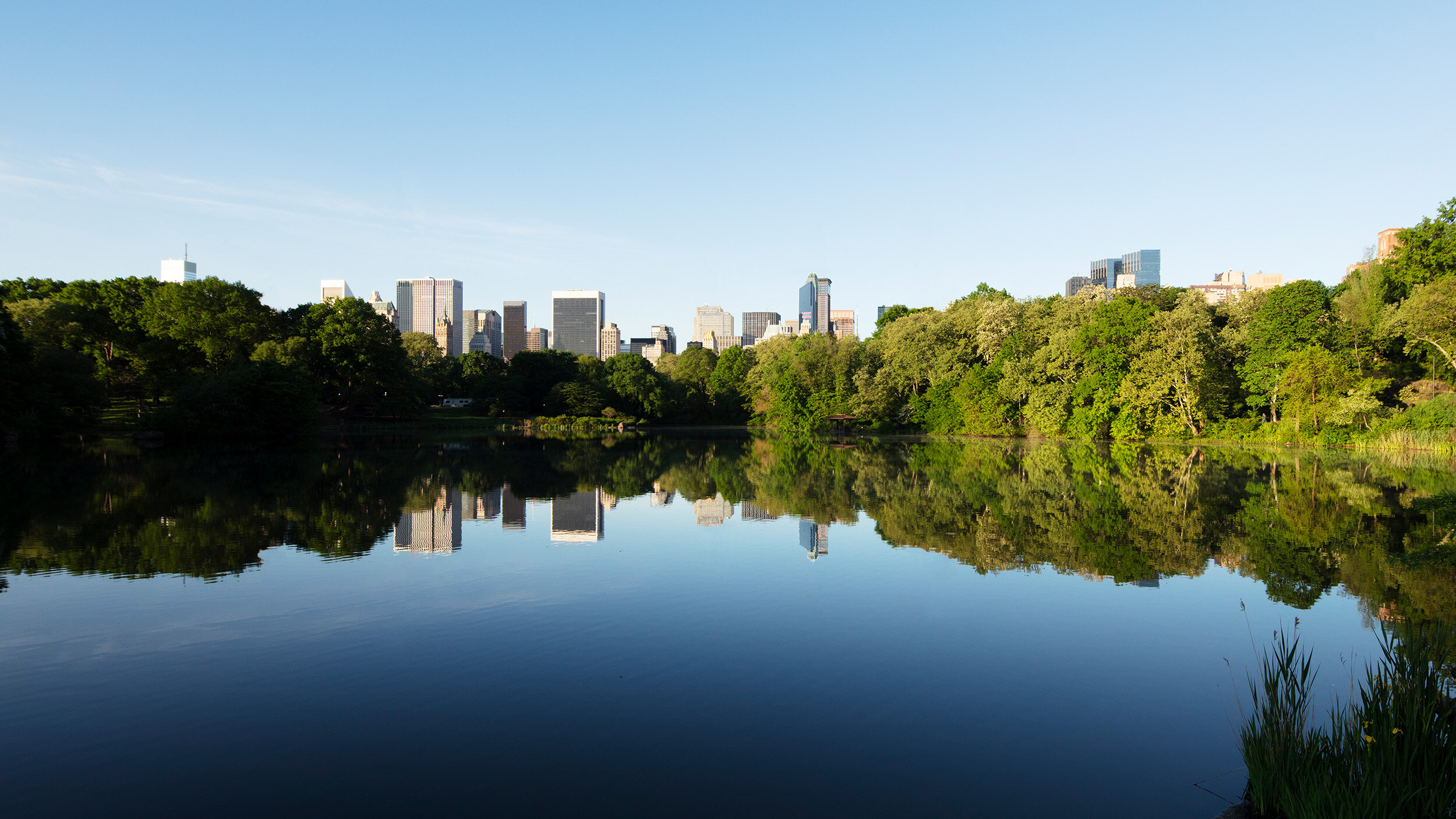 NYC_towers_landscape_no-towers_lowres.jpg