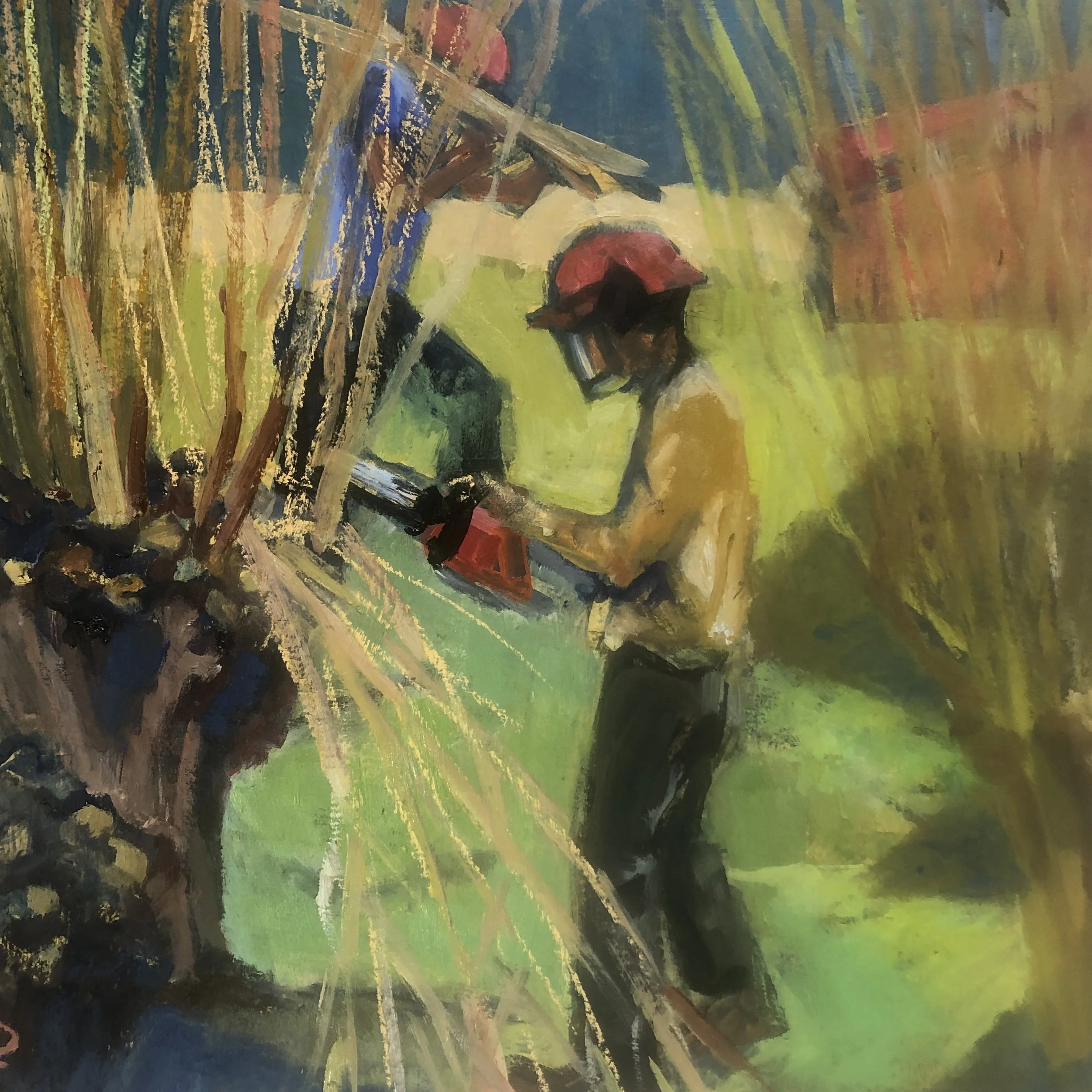 Coppice | 38cm x 36cm |  Oil on board | £250