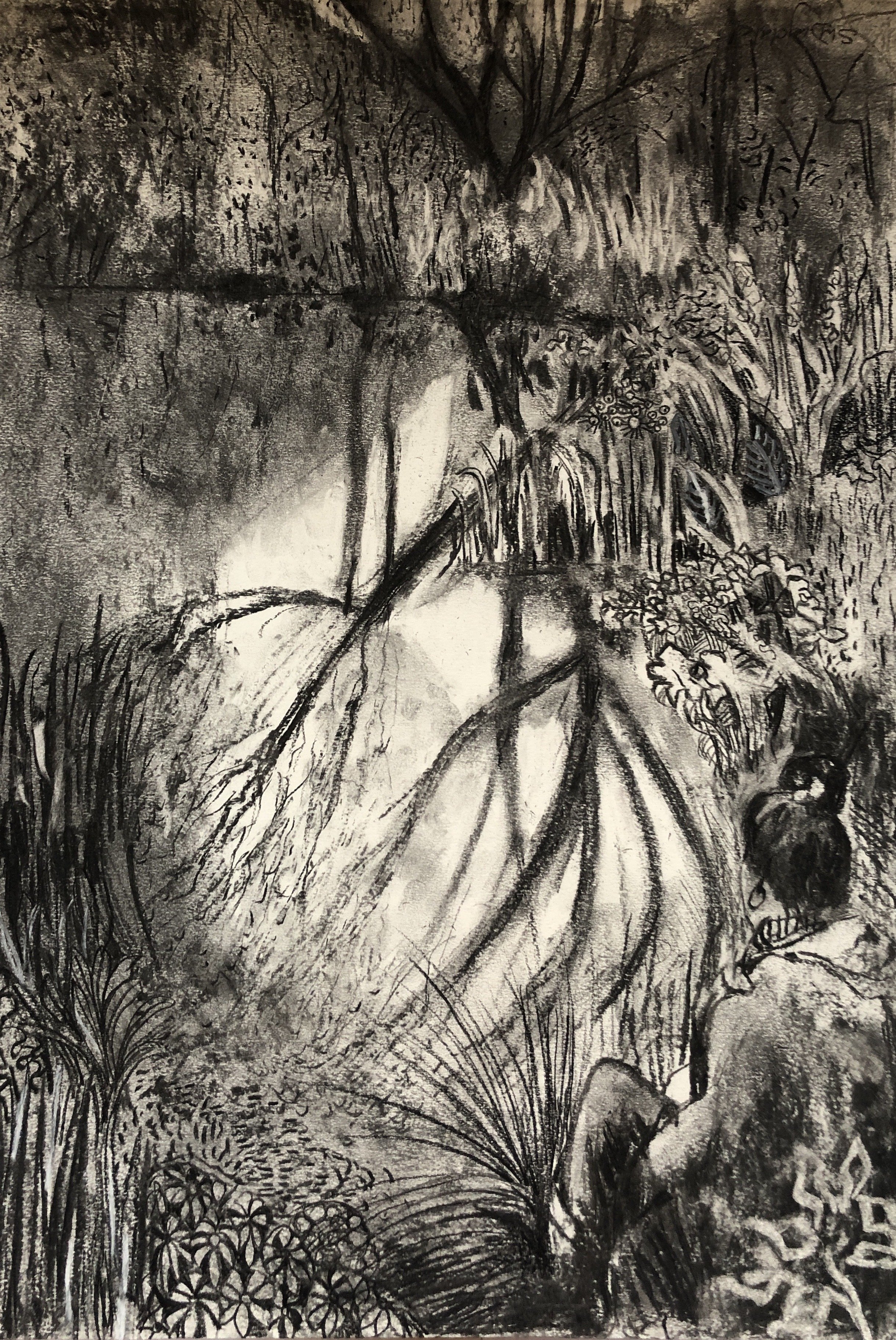 Pondering | 40cm x 56cm | charcoal on paper | £250