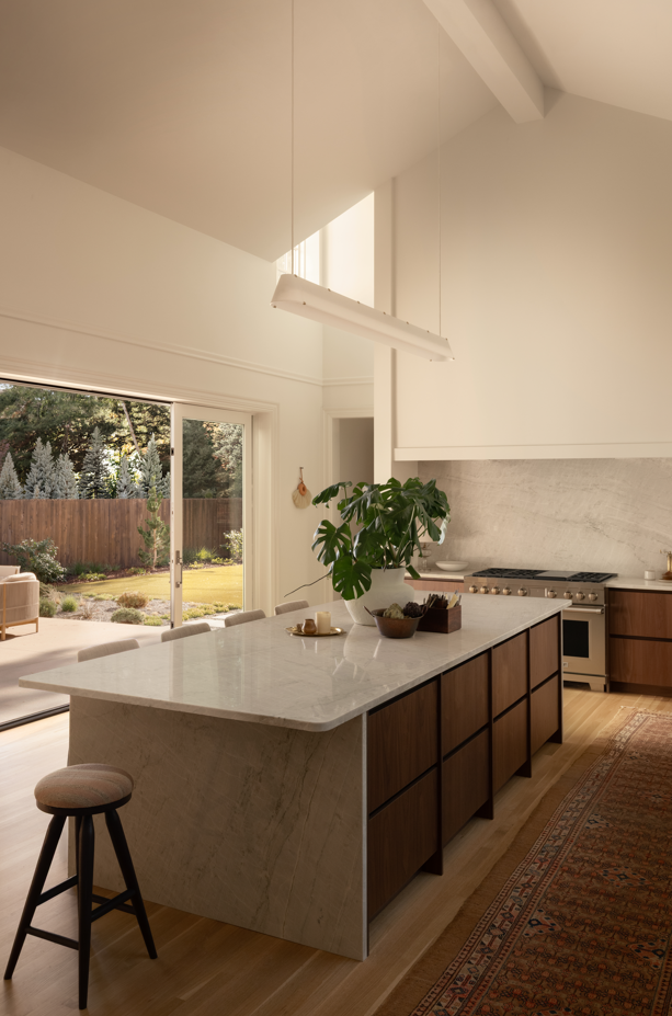 kitchen door _small.png