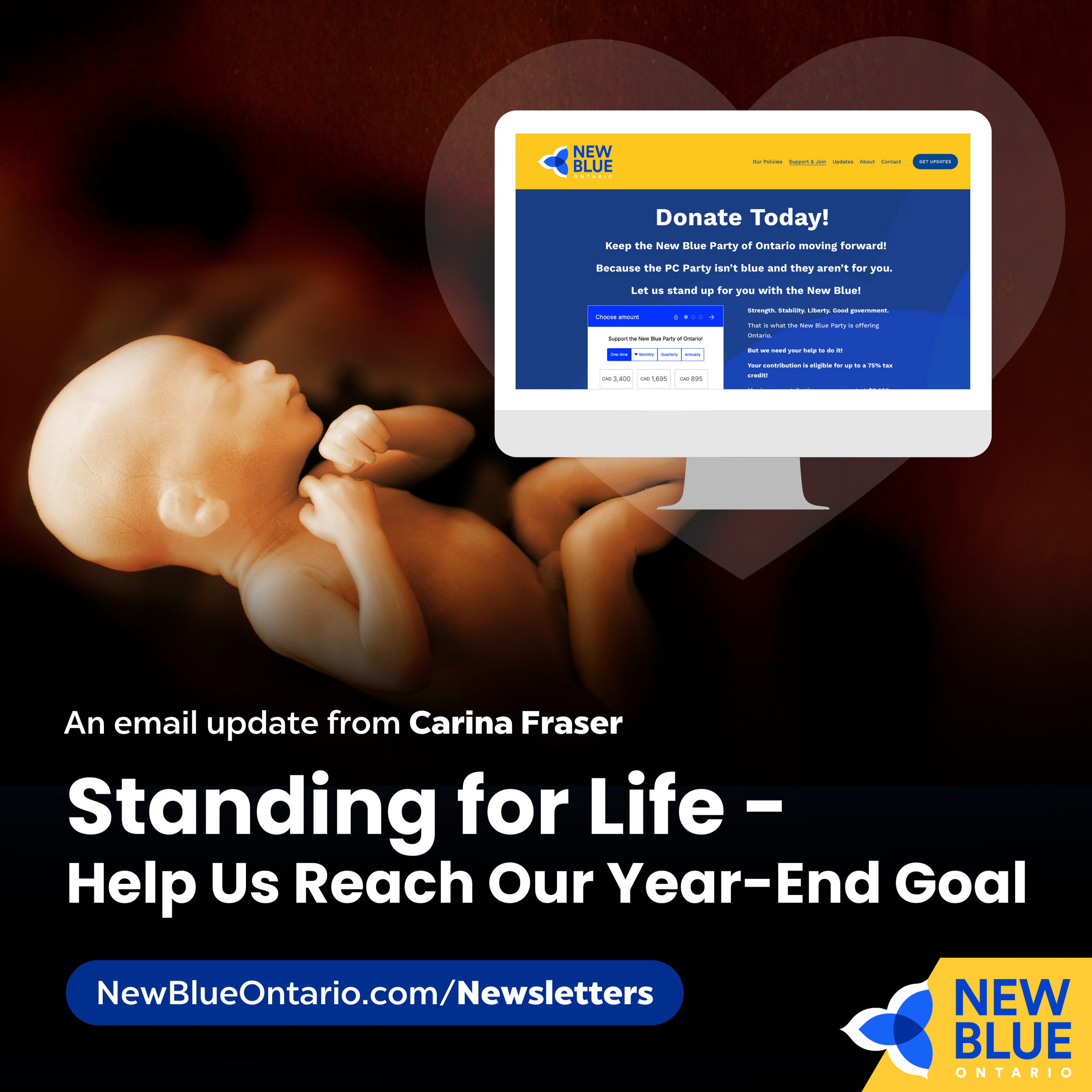 Standing for Life - Help Us Reach Our Year-End Goal