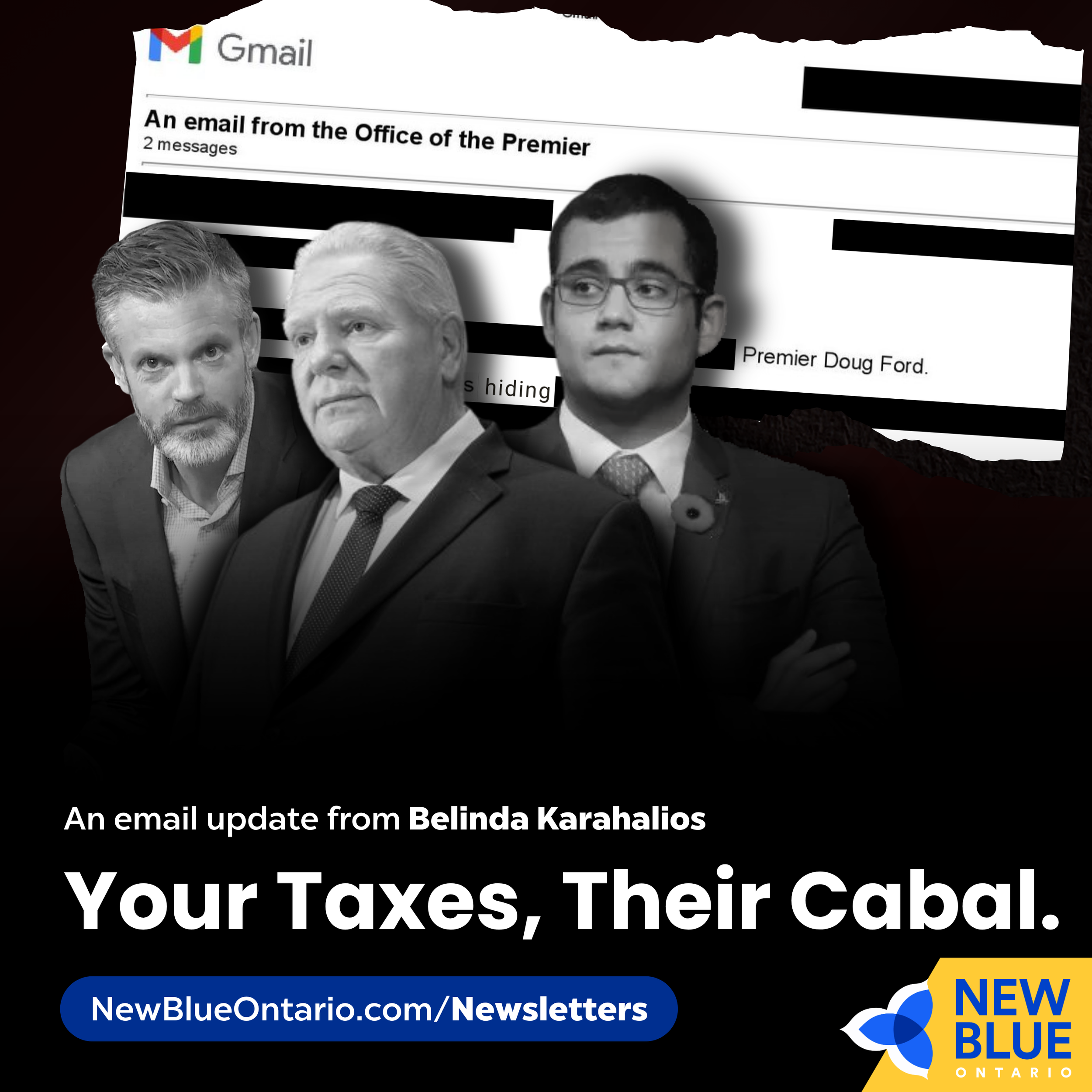 Your Taxes, Their Cabal.