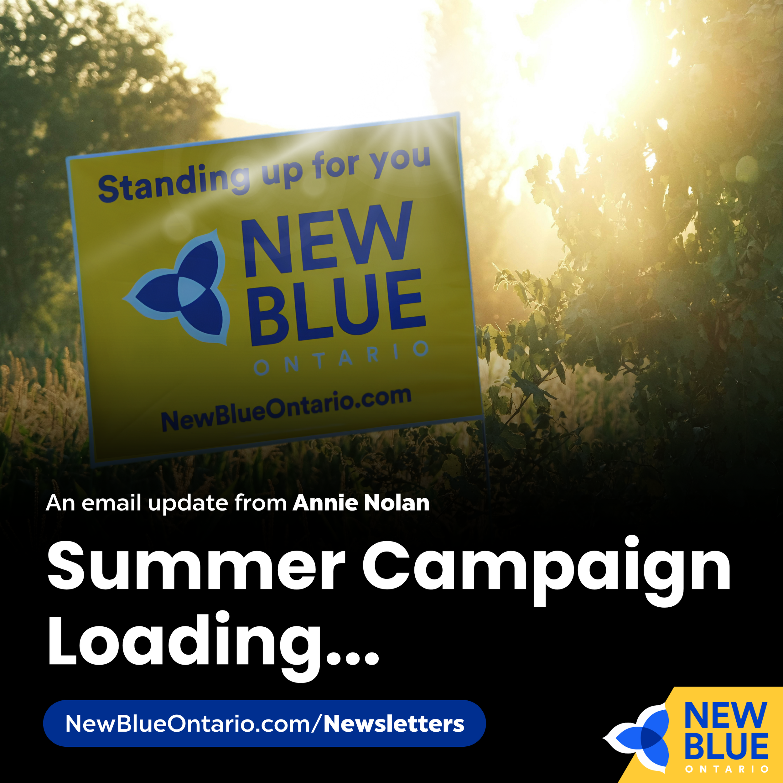 Summer Campaign Loading...