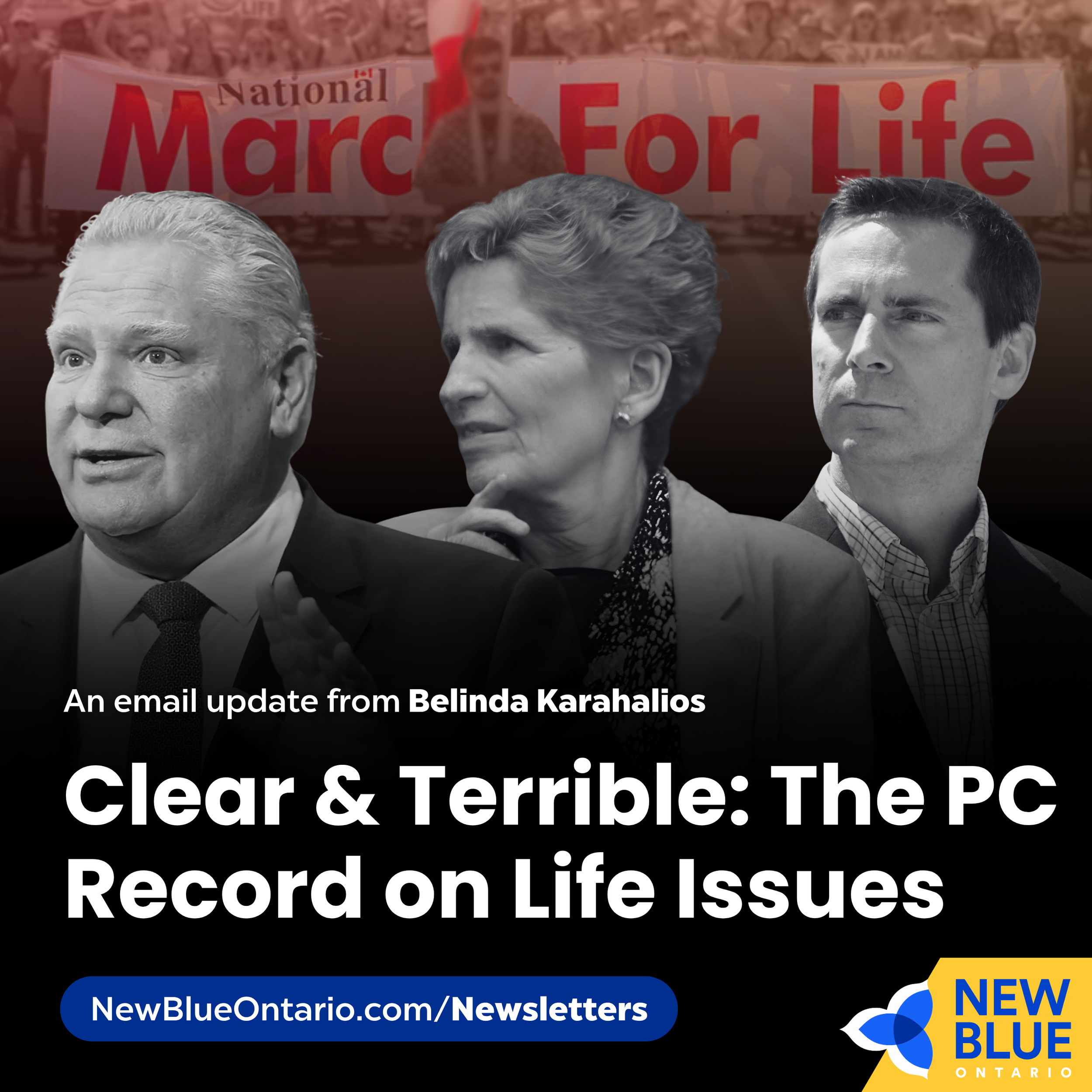 Clear &amp; Terrible: The PC Record on Life Issues
