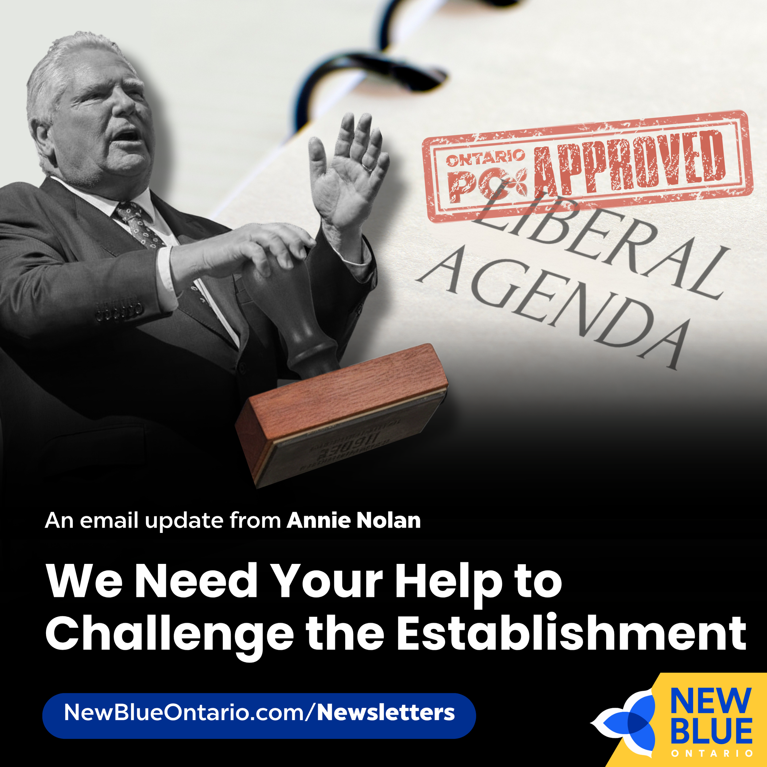 We Need Your Help to Challenge the Establishment