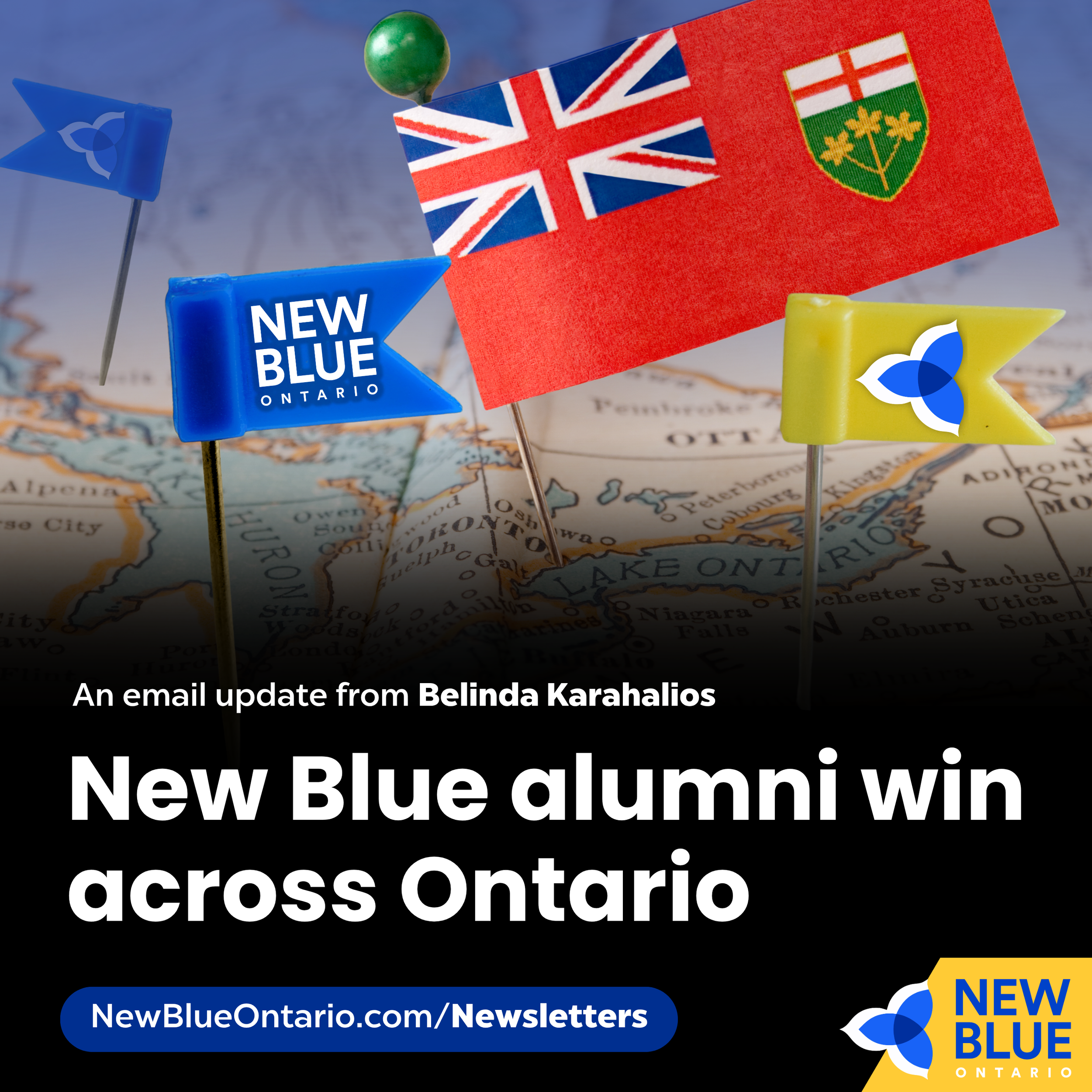 New Blue alumni win across Ontario