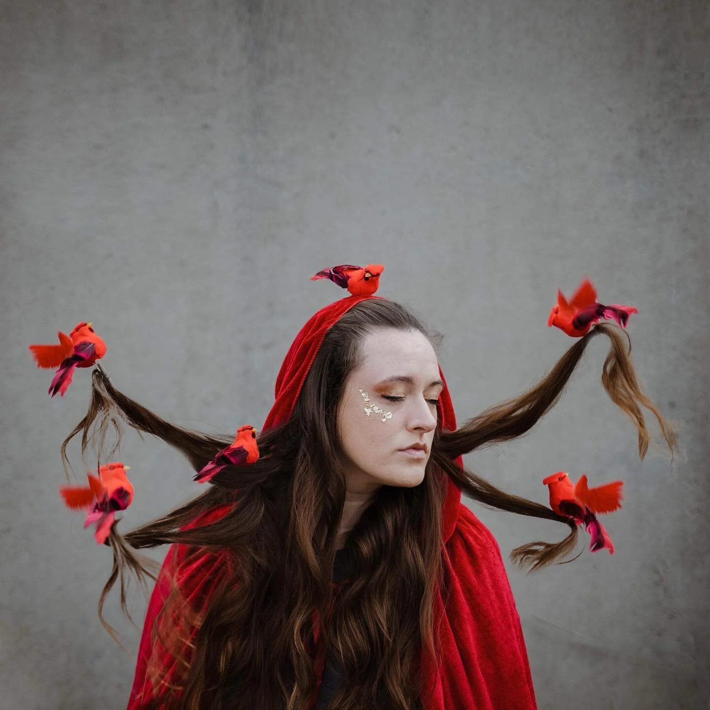 Thinking a lot about the women before me who also look at the cardinal as a sign of strength in times when you need it most. Sending that to you if you need it 🌹 #cardinal