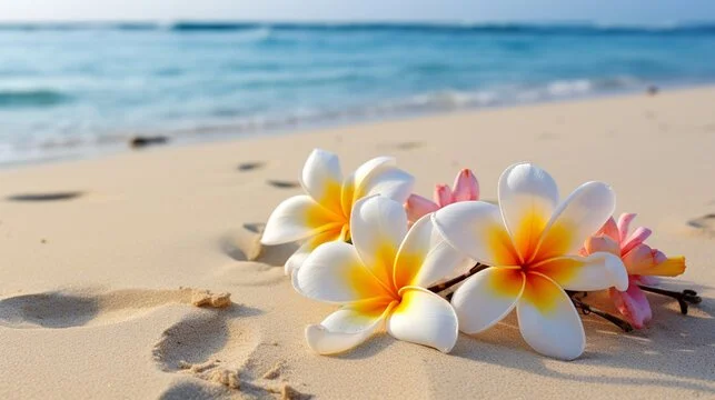 Seaside Plumeria.jpeg