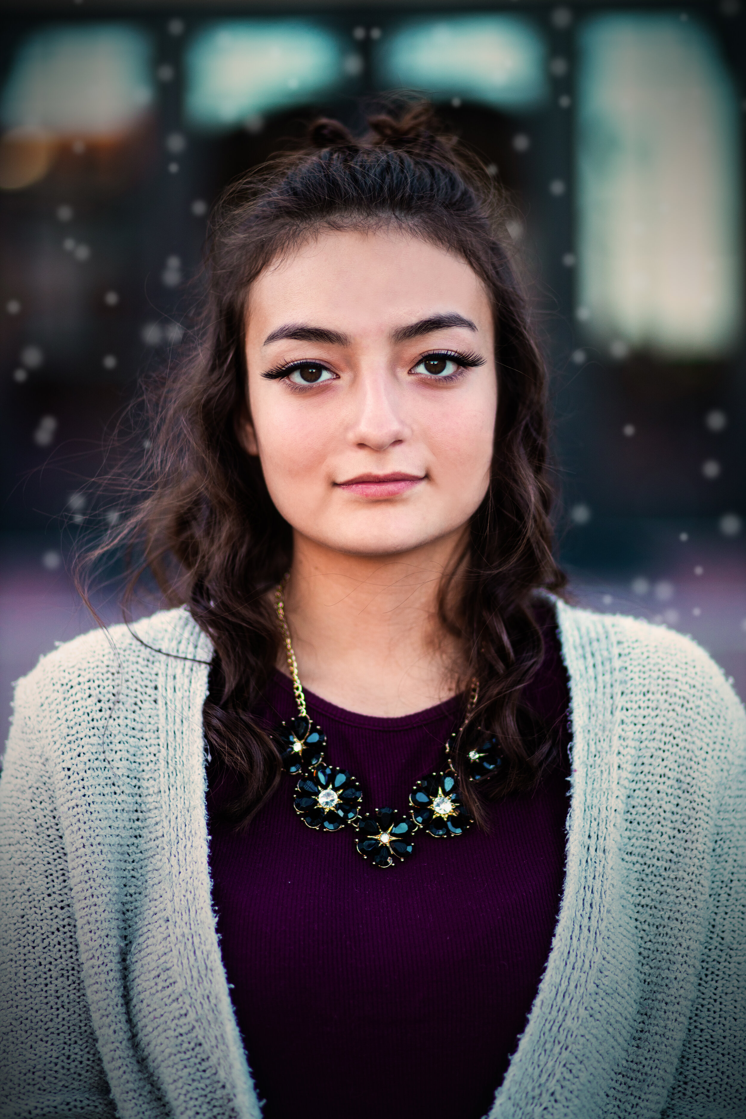 B16A2734 snow.jpg