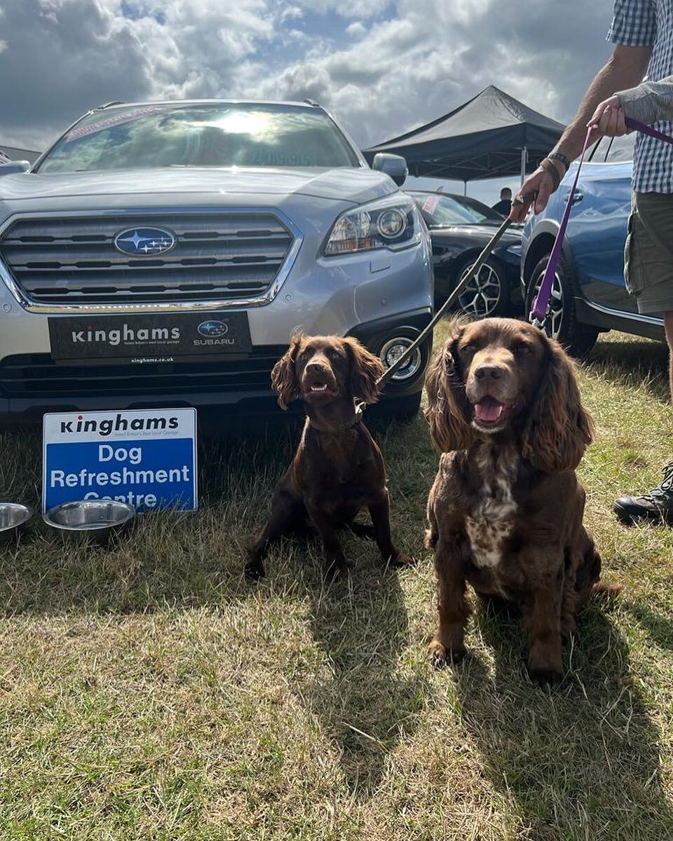 We met some lovely customers last weekend 🐾 @edenbridgeoxtedshow 
.
.
.
#edenbridgeandoxtedshow #kinghams #kinghamsofinstagram #kinghamsofcroydon #subaruuk