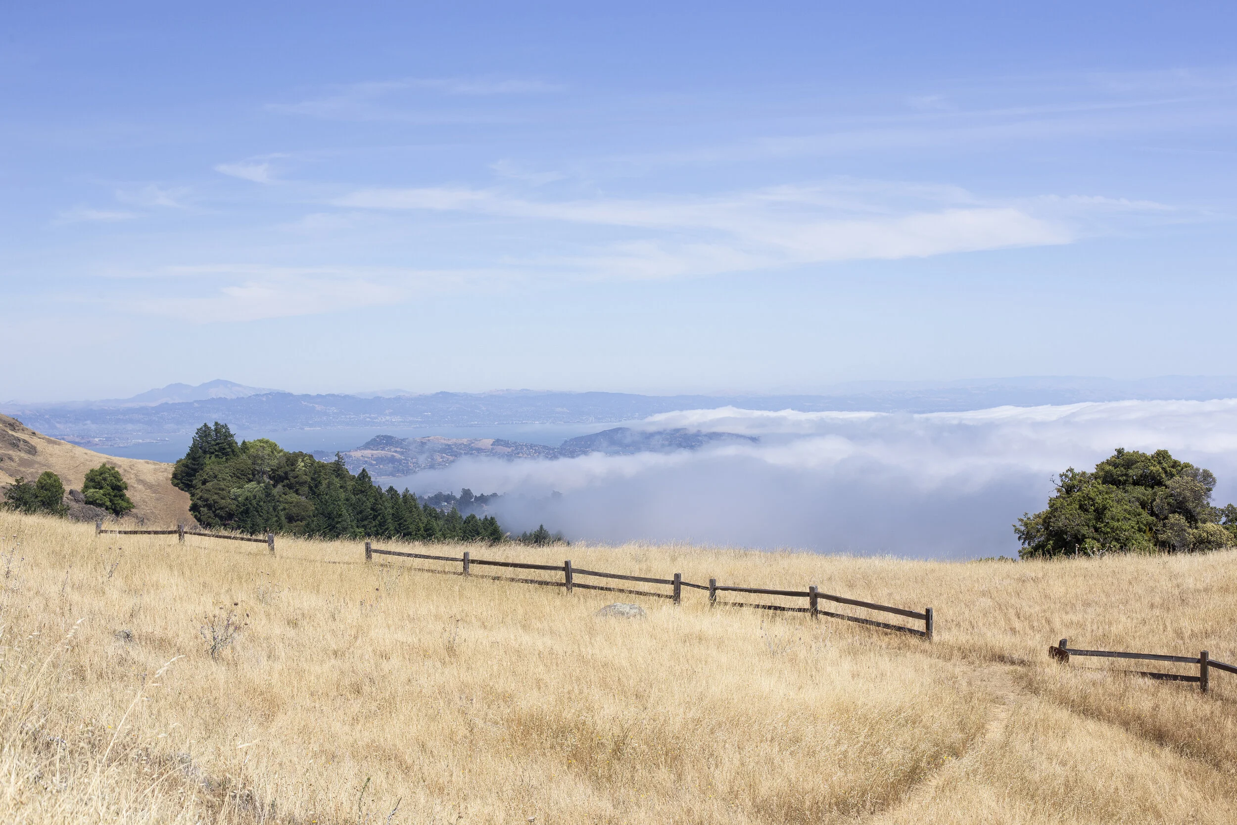 Marin, California
Canon 6D 50mm 