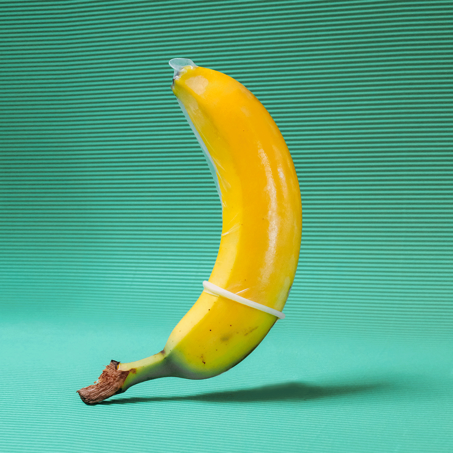 Is It Dildos You’re After?