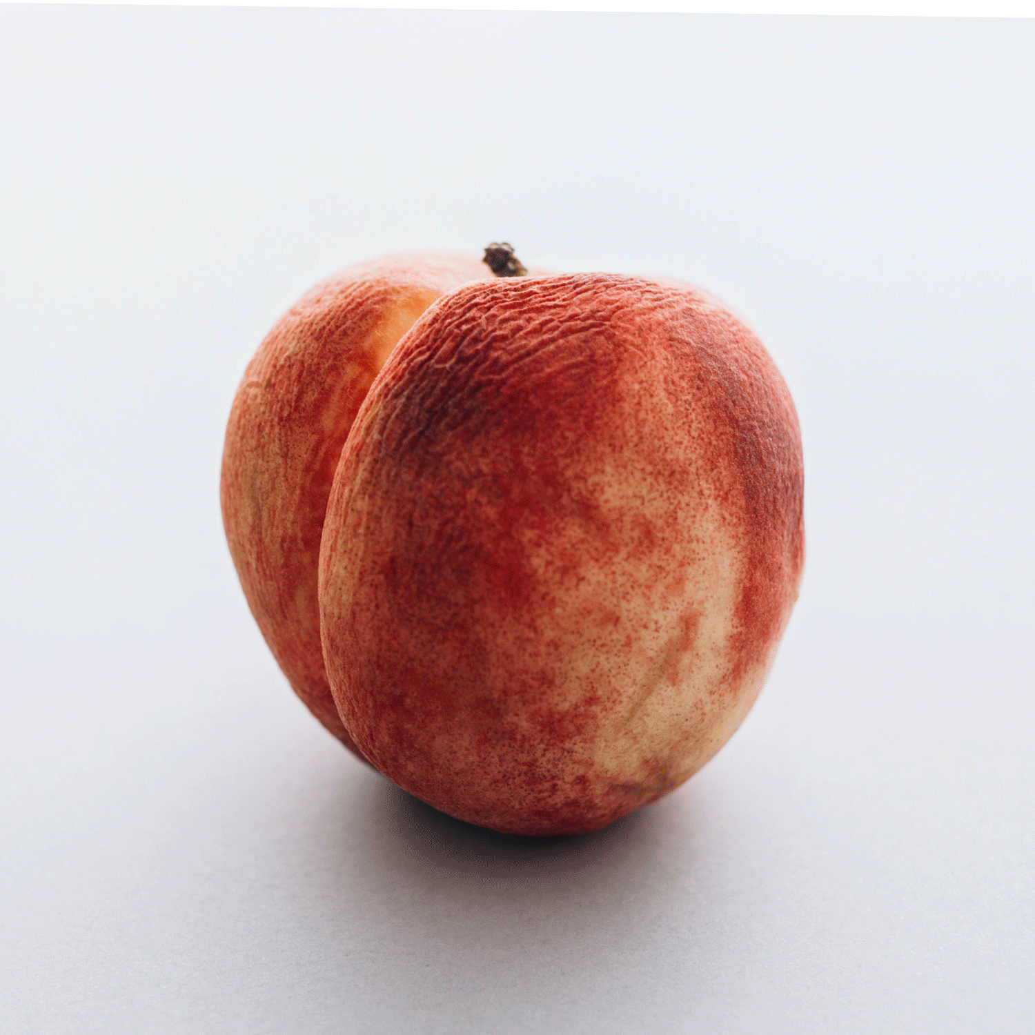 Searching for Plugs?