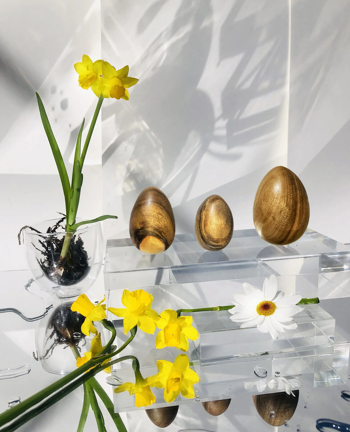 easter egg yoni web.jpg