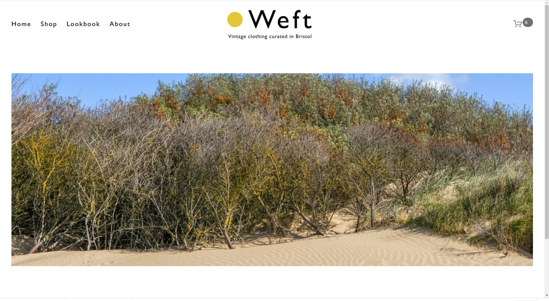 HomePage3.jpg