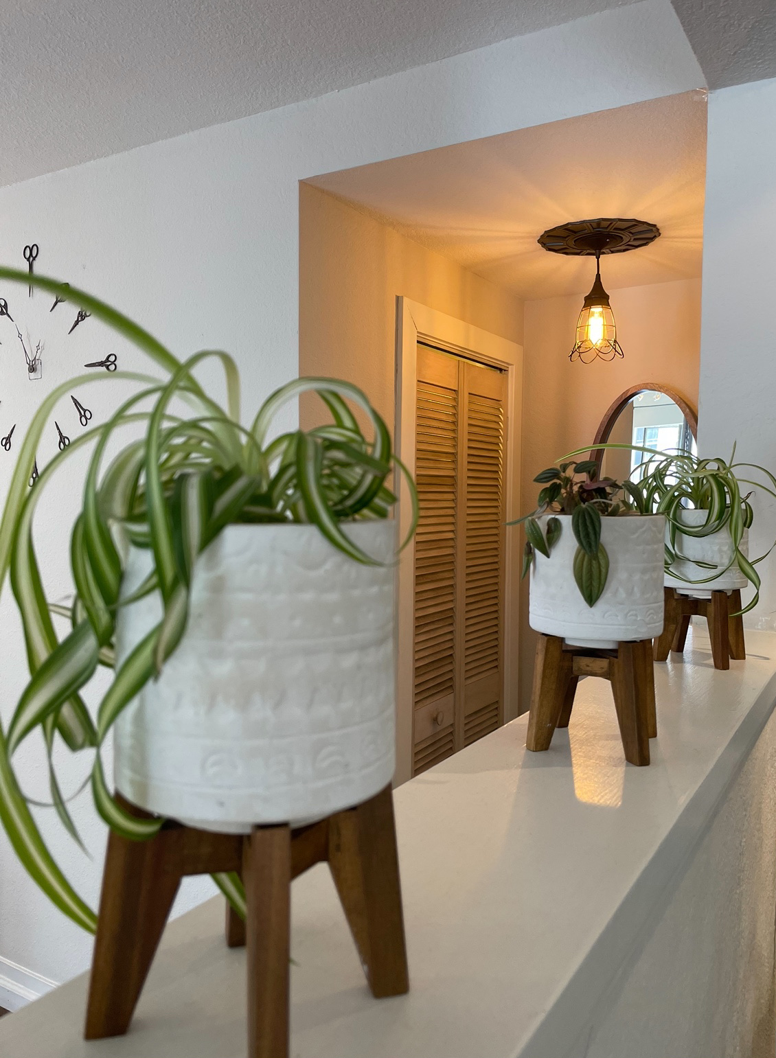 plants_on_stools.png
