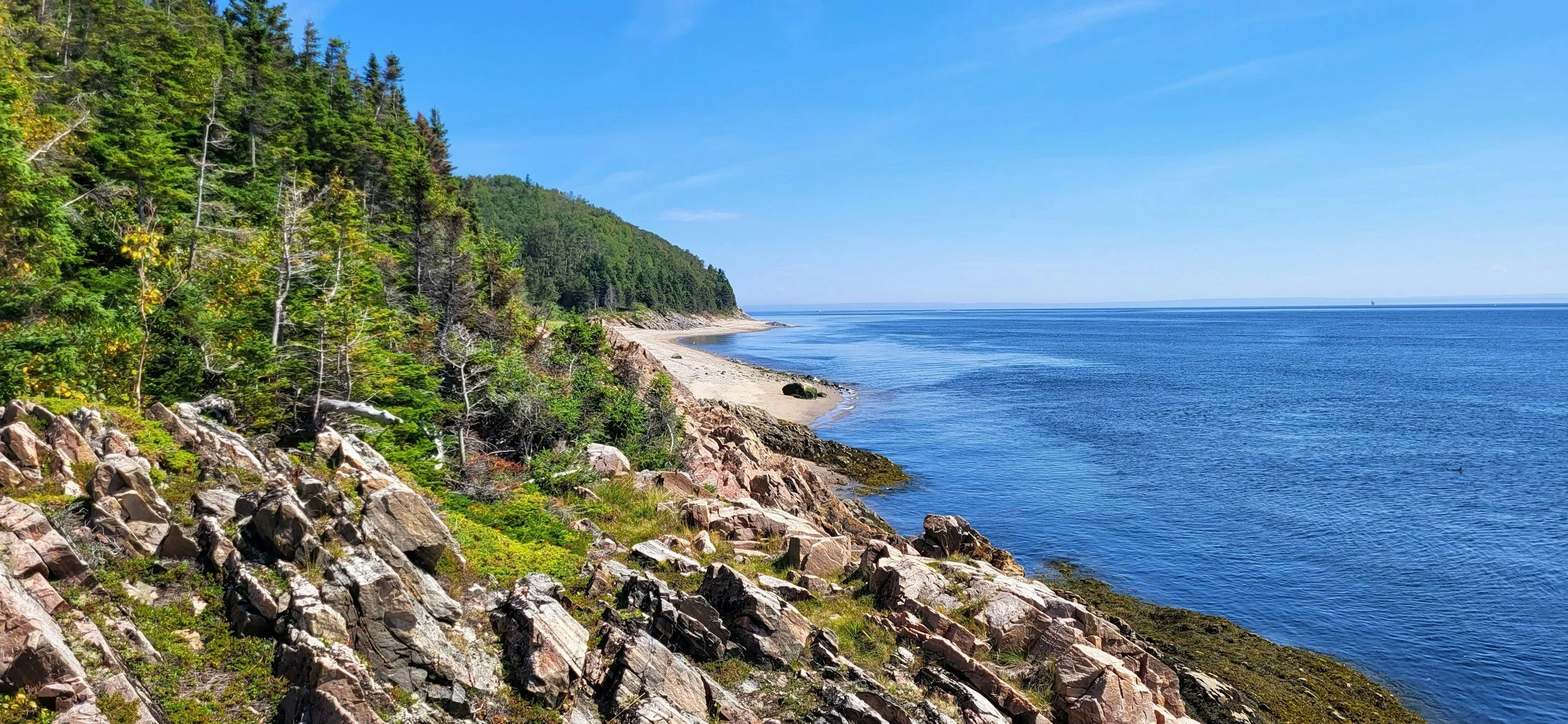 shoreline image of the St. Lawrence river in Canada