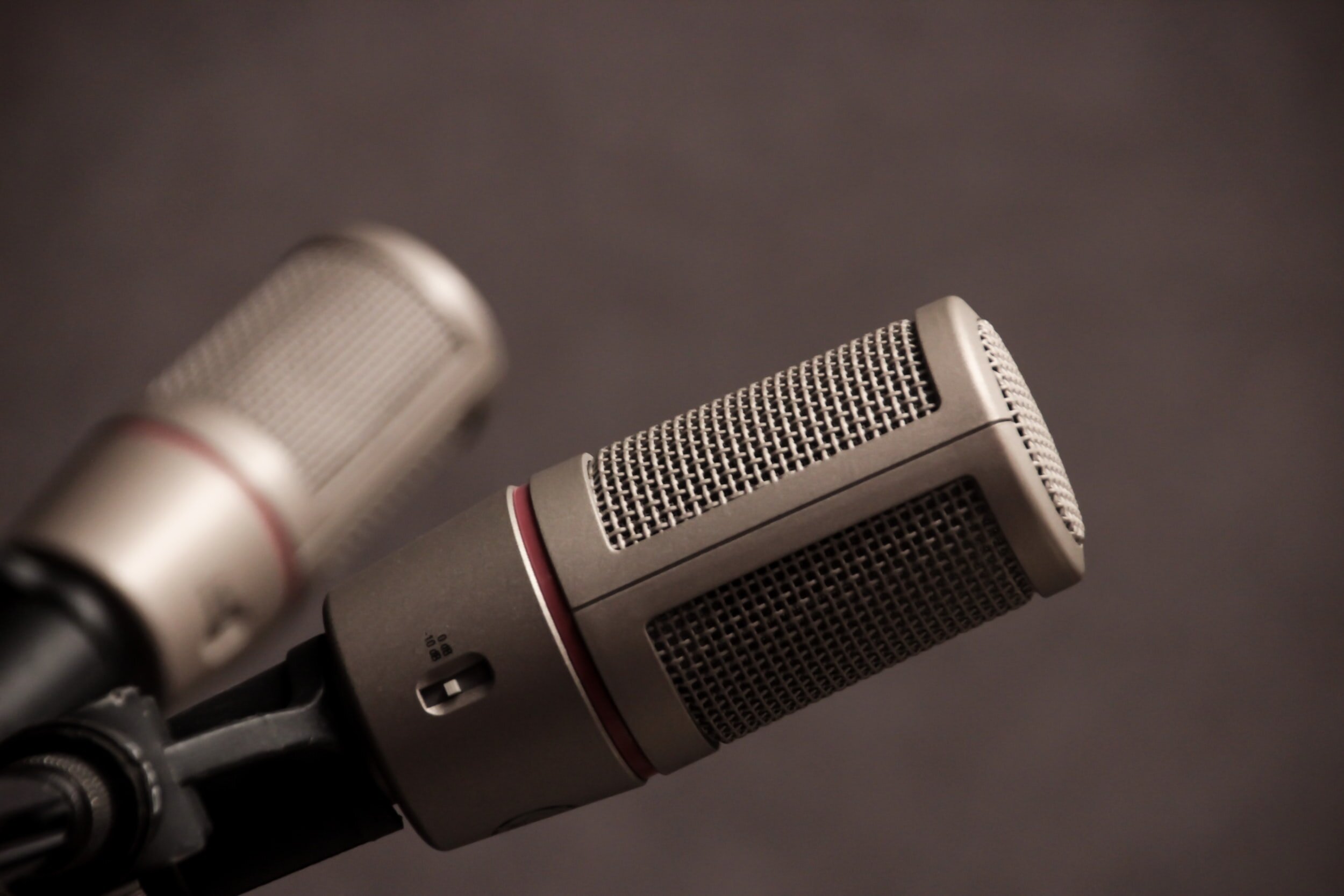 Morgan speaks with WBR's Larry Meiller on micro to macro climate action