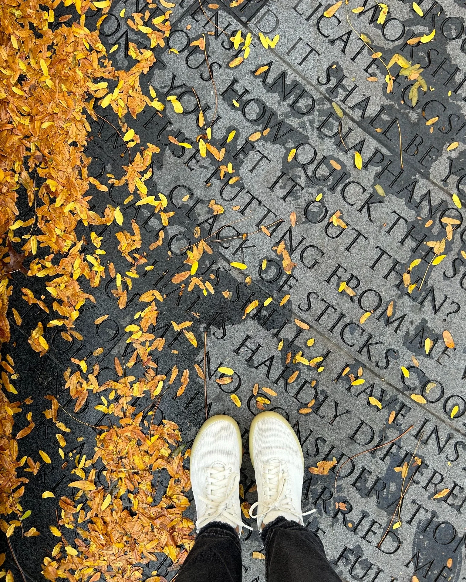 Savor the colors of fall &mdash; winter is nipping at our heels! #NYCAIDSMemorial